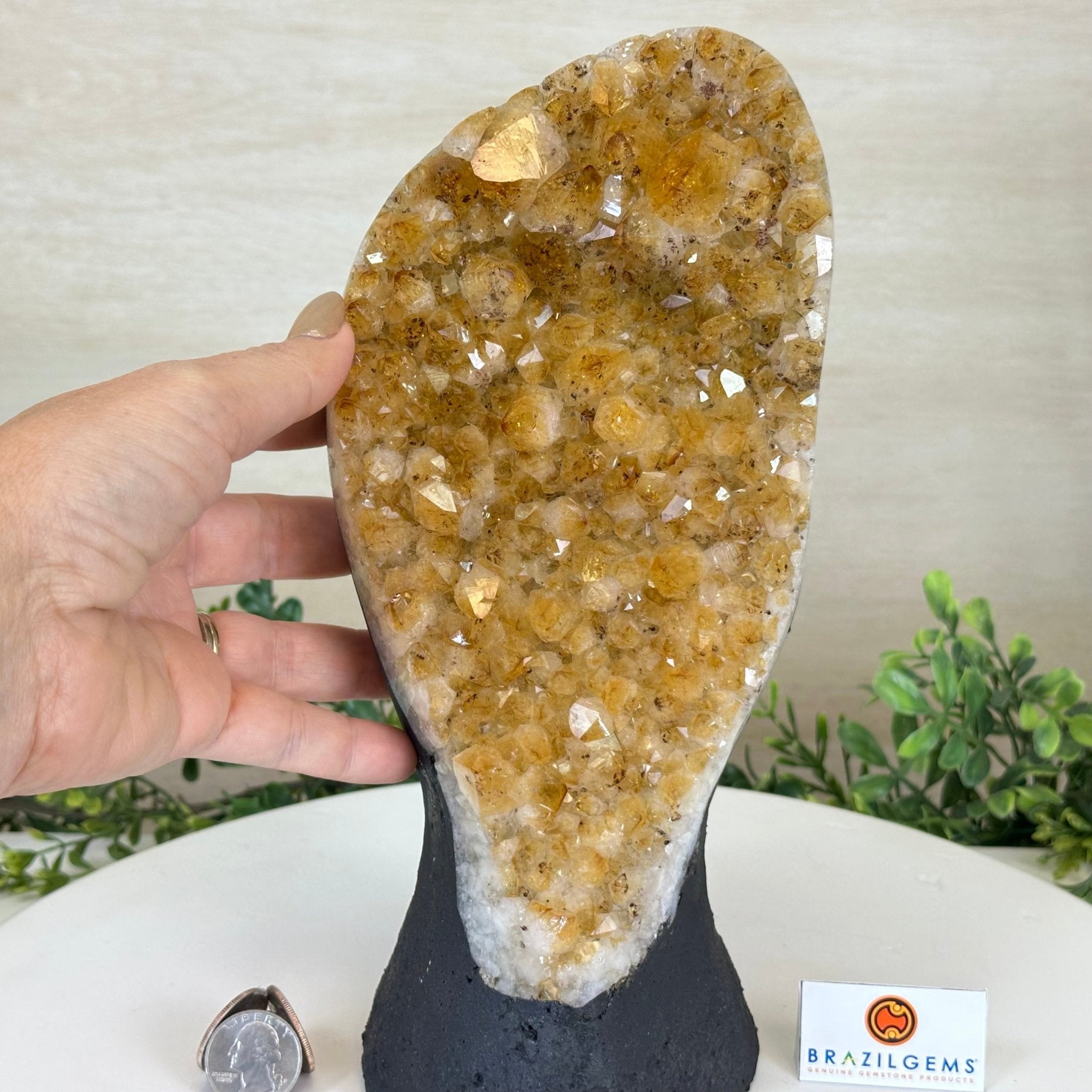 Extra Quality Citrine Cluster on Cement Base, 6 lbs and 10.4" Tall 5615 - 0051 - Brazil GemsBrazil GemsExtra Quality Citrine Cluster on Cement Base, 6 lbs and 10.4" Tall 5615 - 0051Clusters on Cement Bases5615 - 0051