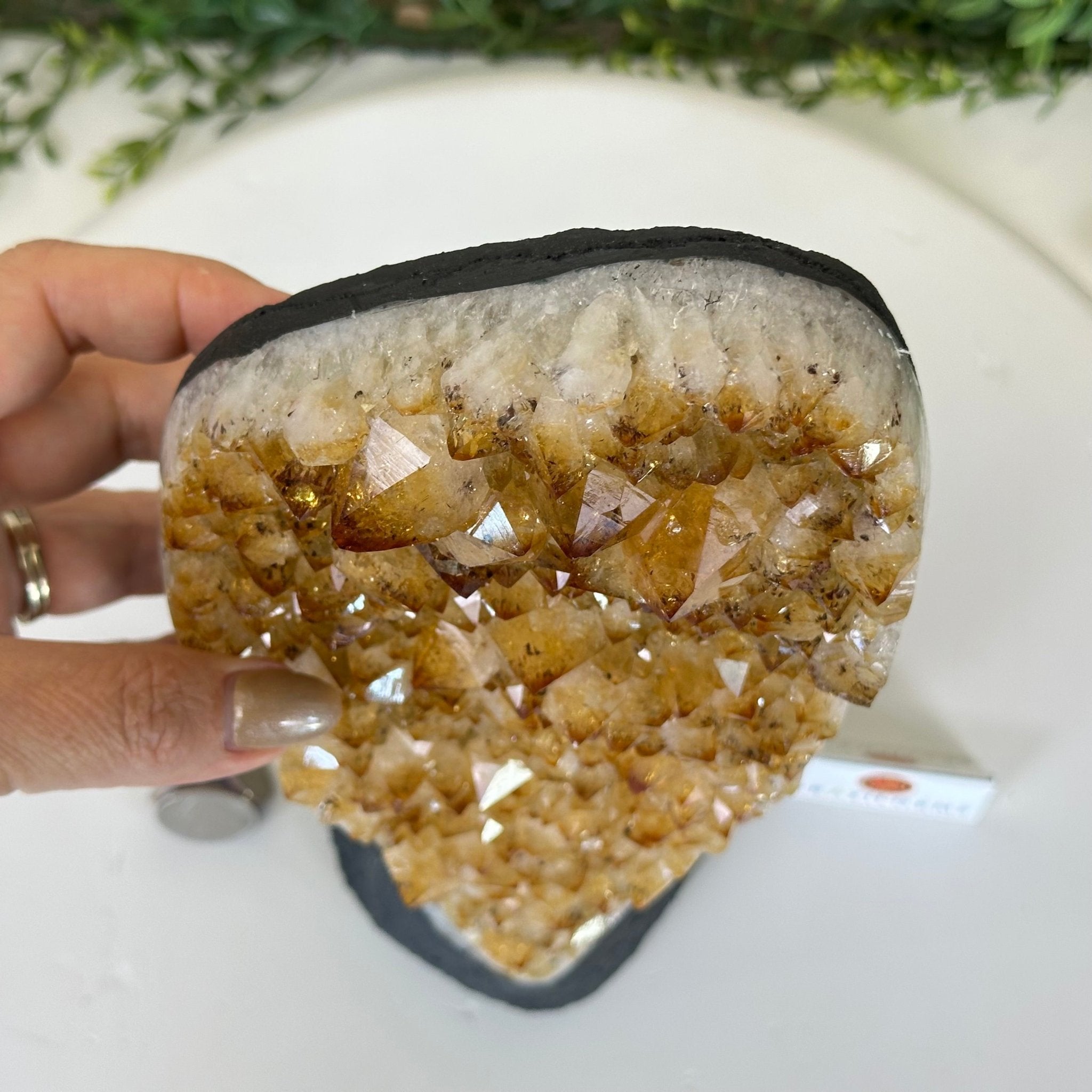 Extra Quality Citrine Cluster on Cement Base, 6 lbs and 10.4" Tall 5615 - 0051 - Brazil GemsBrazil GemsExtra Quality Citrine Cluster on Cement Base, 6 lbs and 10.4" Tall 5615 - 0051Clusters on Cement Bases5615 - 0051