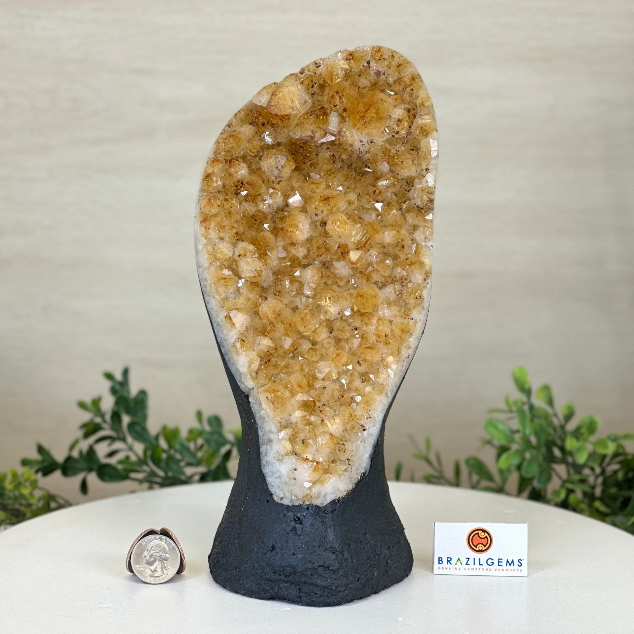 Extra Quality Citrine Cluster on Cement Base, 6 lbs and 10.4" Tall 5615 - 0051 - Brazil GemsBrazil GemsExtra Quality Citrine Cluster on Cement Base, 6 lbs and 10.4" Tall 5615 - 0051Clusters on Cement Bases5615 - 0051