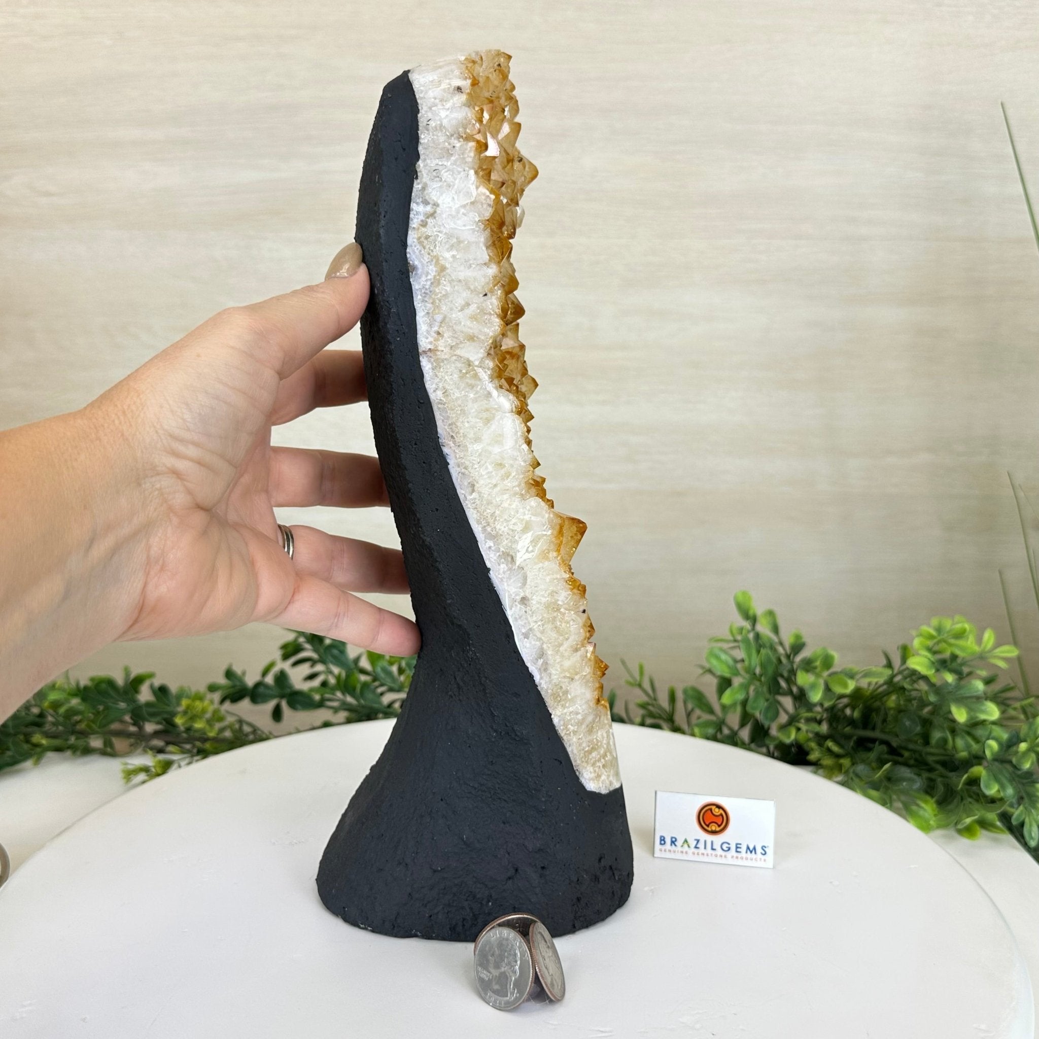 Extra Quality Citrine Cluster on Cement Base, 6 lbs and 11.8" Tall 5615 - 0053 - Brazil GemsBrazil GemsExtra Quality Citrine Cluster on Cement Base, 6 lbs and 11.8" Tall 5615 - 0053Clusters on Cement Bases5615 - 0053