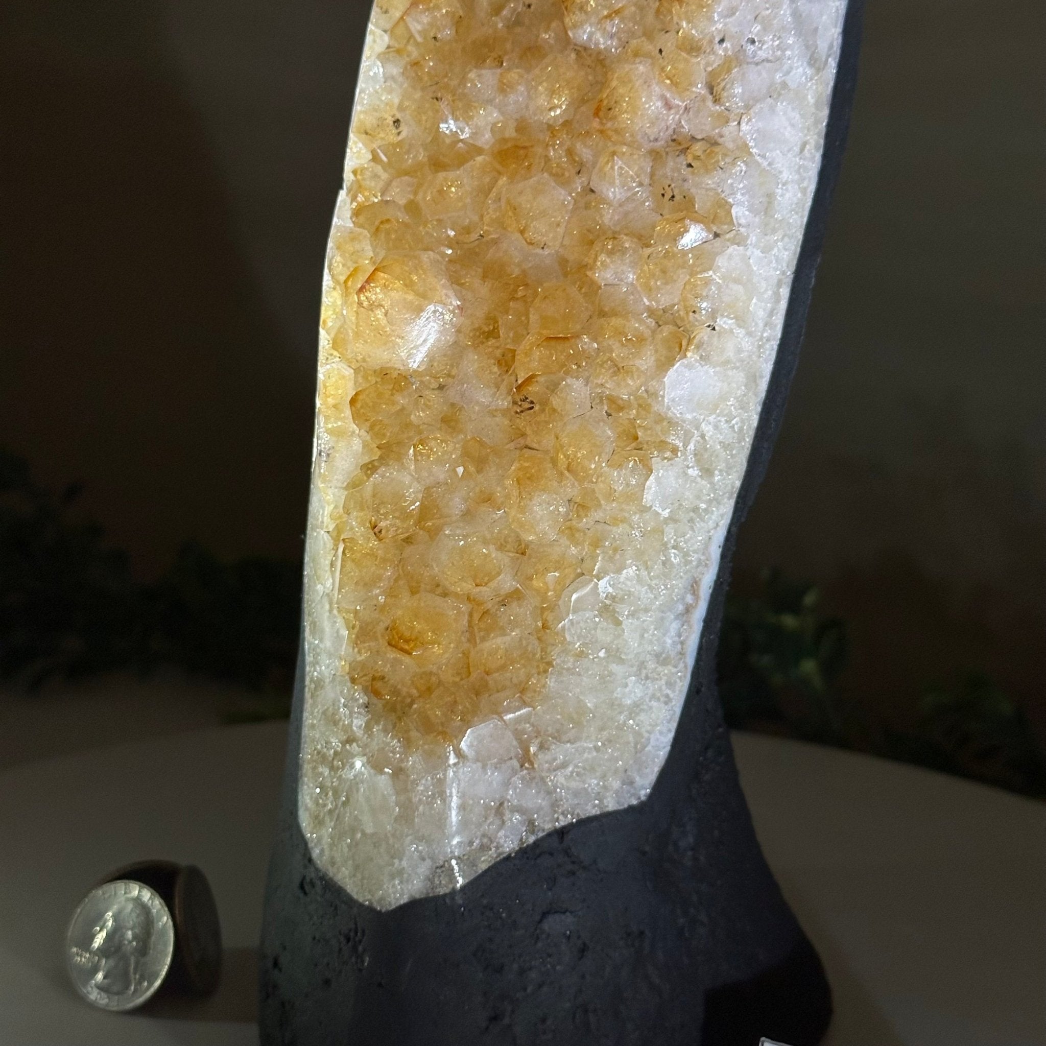 Extra Quality Citrine Cluster on Cement Base, 6 lbs and 11.8" Tall 5615 - 0053 - Brazil GemsBrazil GemsExtra Quality Citrine Cluster on Cement Base, 6 lbs and 11.8" Tall 5615 - 0053Clusters on Cement Bases5615 - 0053