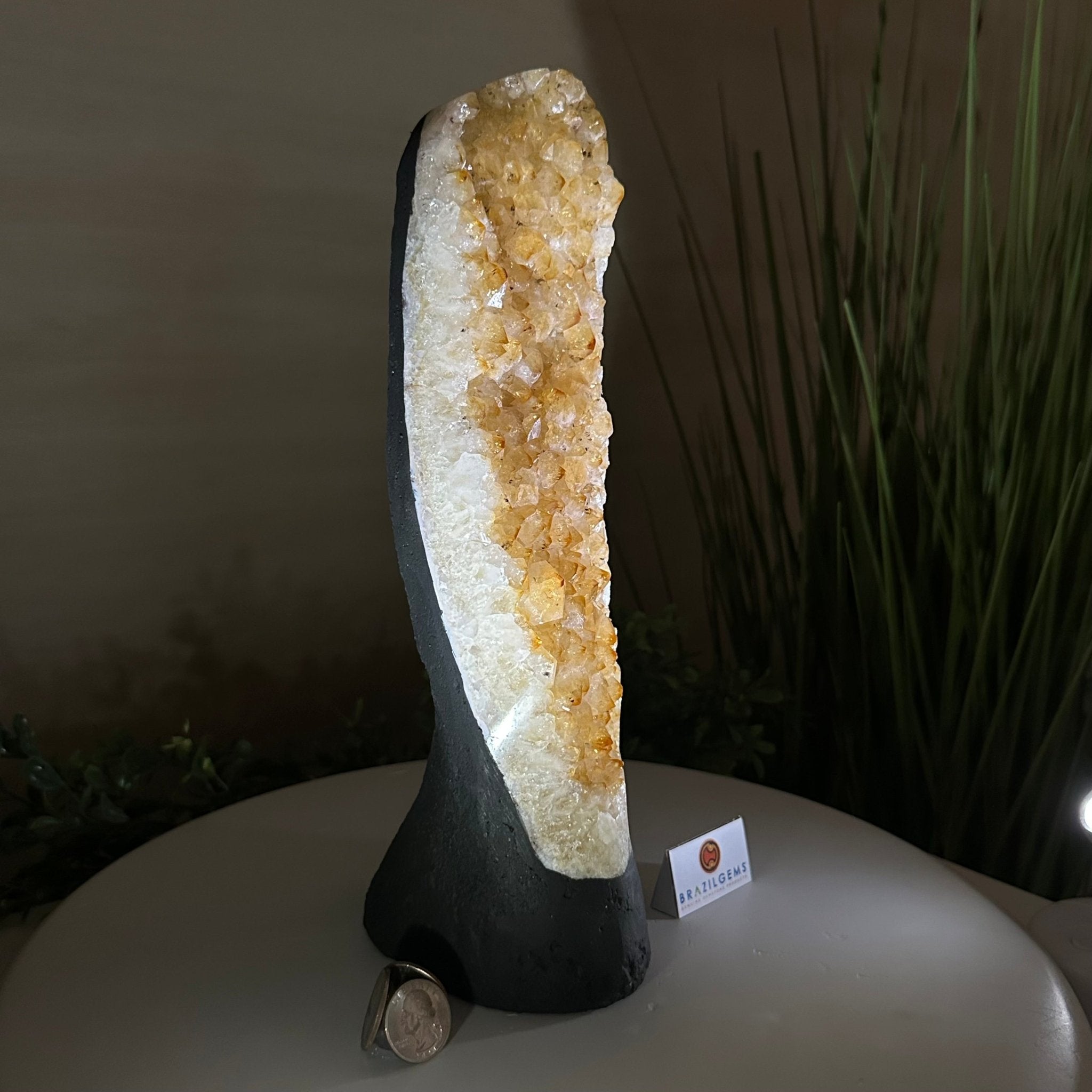 Extra Quality Citrine Cluster on Cement Base, 6 lbs and 11.8" Tall 5615 - 0053 - Brazil GemsBrazil GemsExtra Quality Citrine Cluster on Cement Base, 6 lbs and 11.8" Tall 5615 - 0053Clusters on Cement Bases5615 - 0053