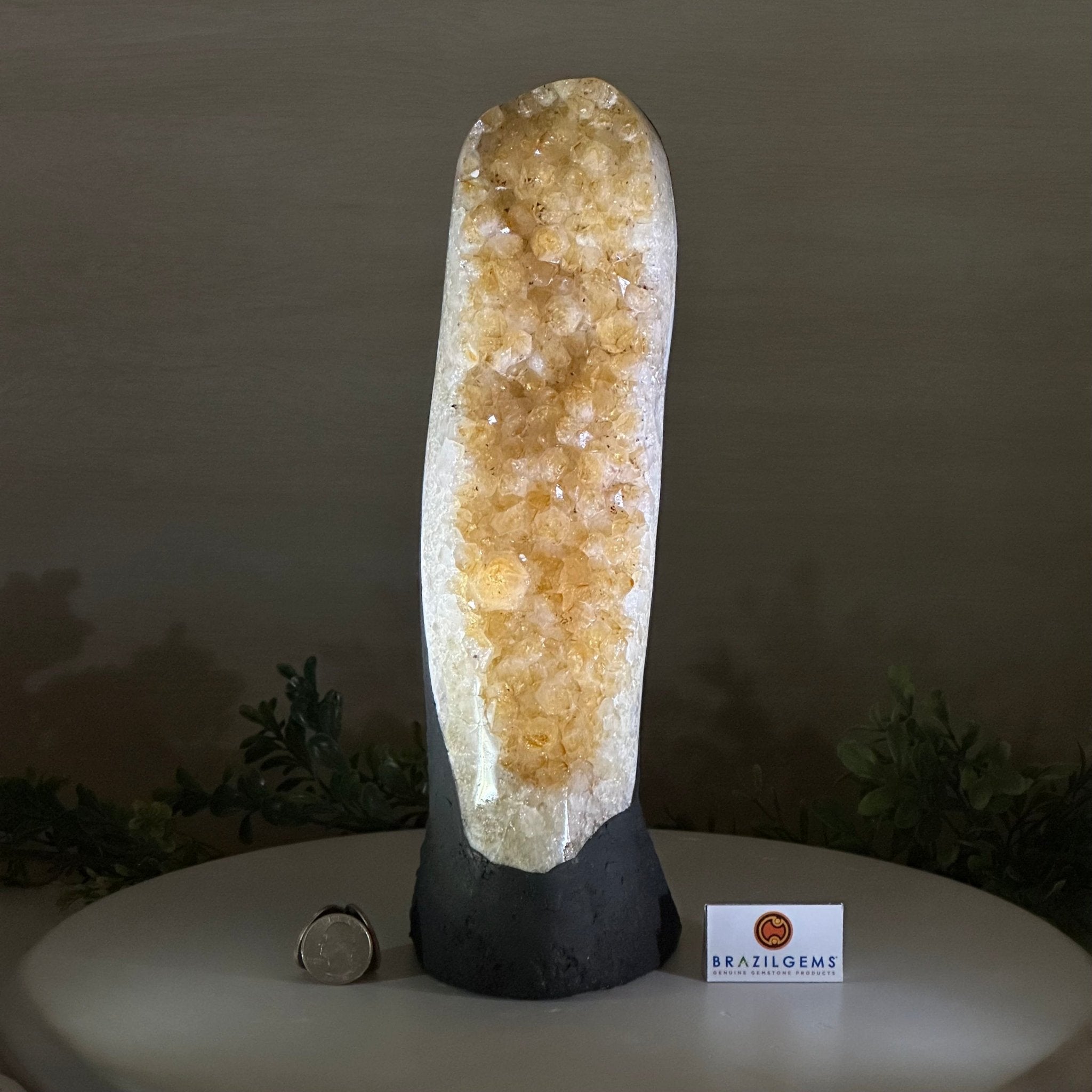 Extra Quality Citrine Cluster on Cement Base, 6 lbs and 11.8" Tall 5615 - 0053 - Brazil GemsBrazil GemsExtra Quality Citrine Cluster on Cement Base, 6 lbs and 11.8" Tall 5615 - 0053Clusters on Cement Bases5615 - 0053