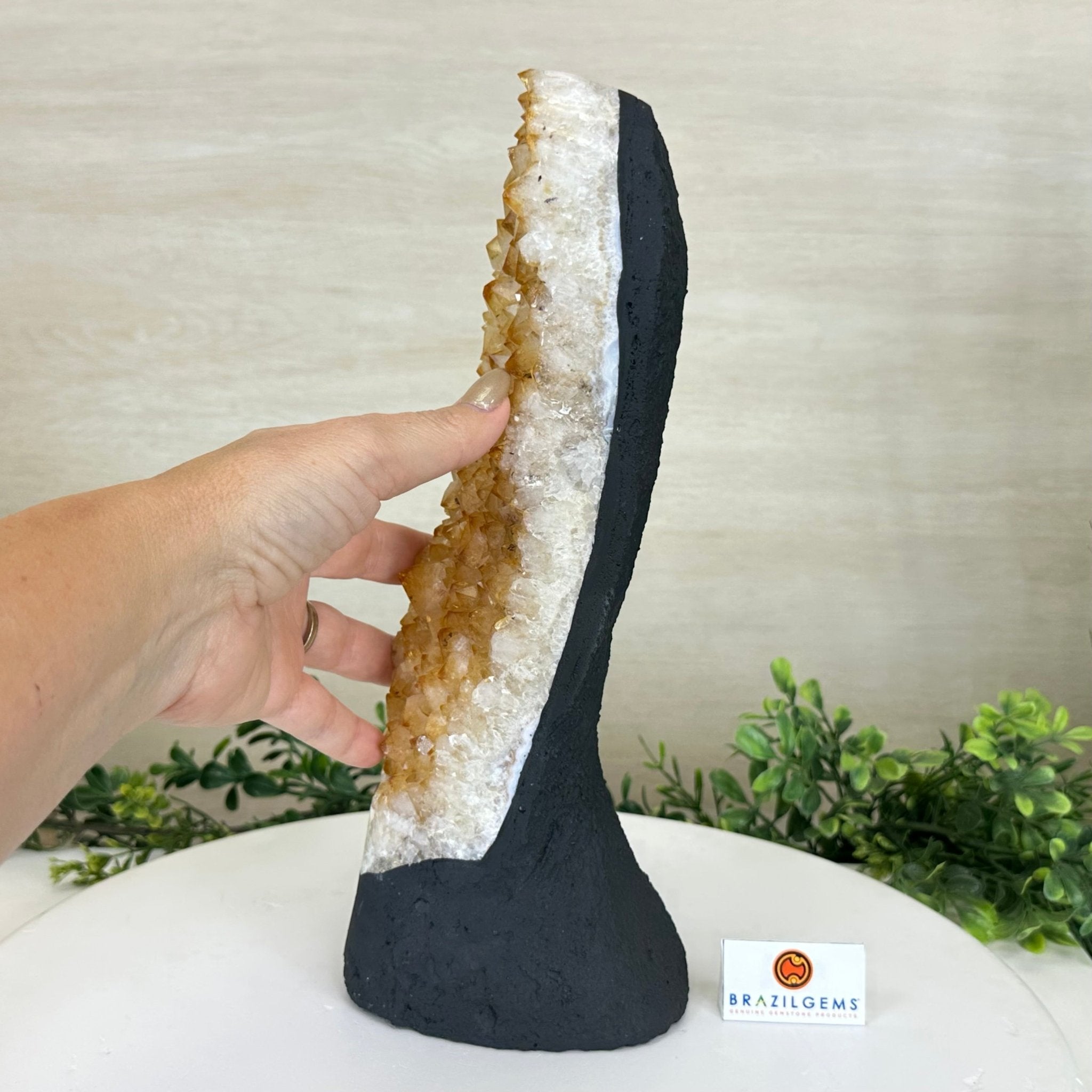 Extra Quality Citrine Cluster on Cement Base, 6 lbs and 11.8" Tall 5615 - 0053 - Brazil GemsBrazil GemsExtra Quality Citrine Cluster on Cement Base, 6 lbs and 11.8" Tall 5615 - 0053Clusters on Cement Bases5615 - 0053