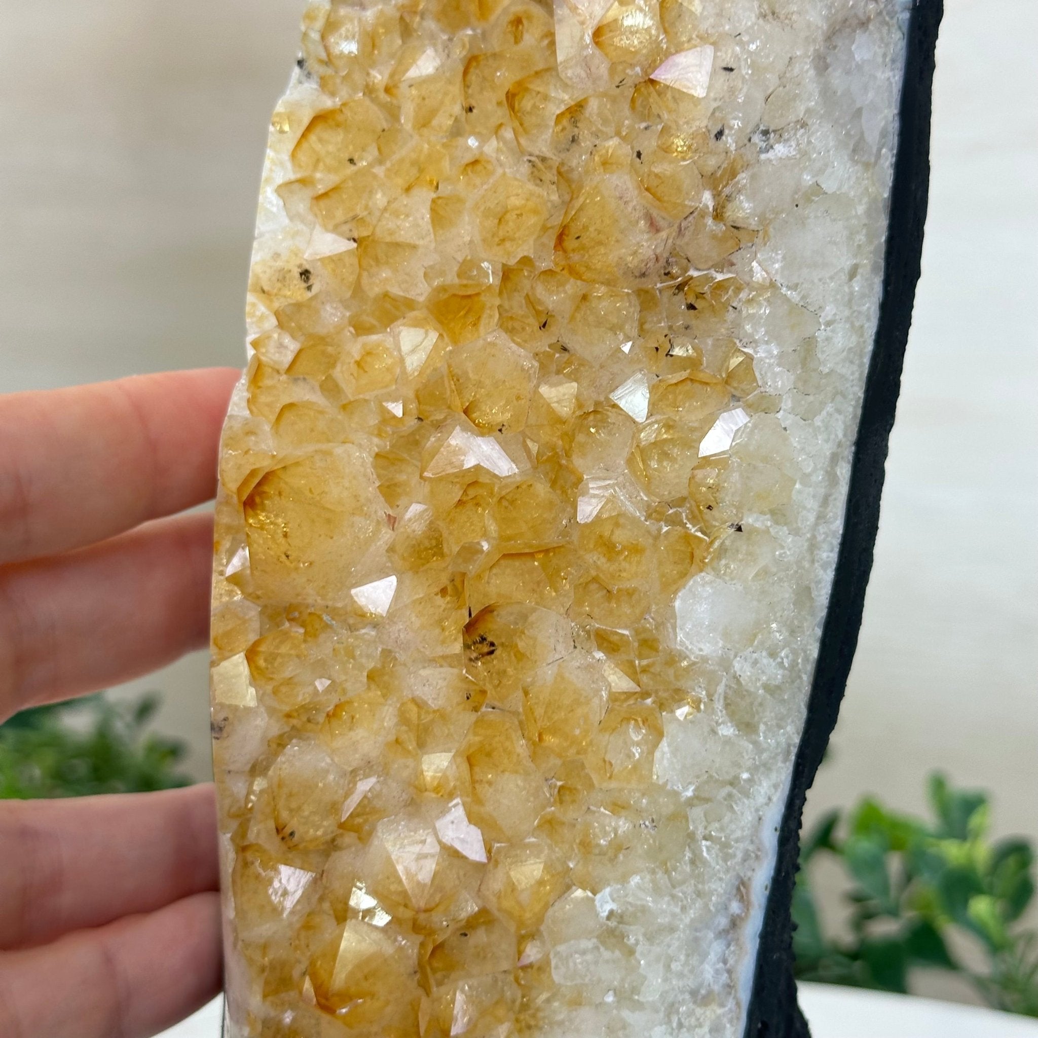 Extra Quality Citrine Cluster on Cement Base, 6 lbs and 11.8" Tall 5615 - 0053 - Brazil GemsBrazil GemsExtra Quality Citrine Cluster on Cement Base, 6 lbs and 11.8" Tall 5615 - 0053Clusters on Cement Bases5615 - 0053