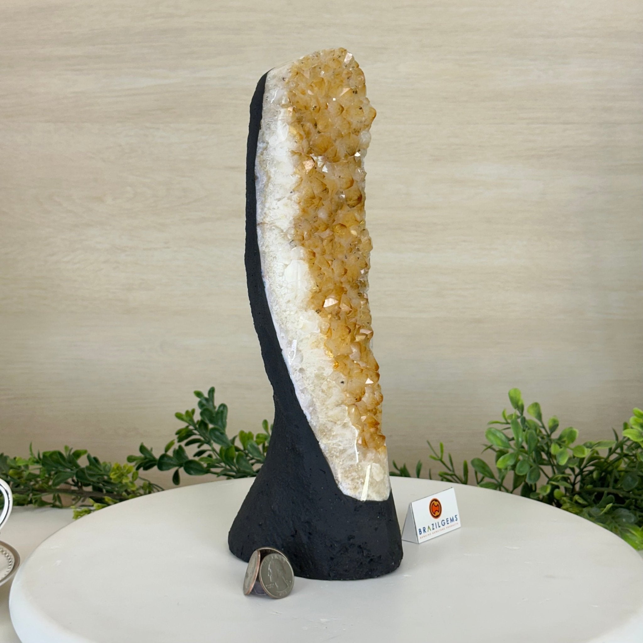 Extra Quality Citrine Cluster on Cement Base, 6 lbs and 11.8" Tall 5615 - 0053 - Brazil GemsBrazil GemsExtra Quality Citrine Cluster on Cement Base, 6 lbs and 11.8" Tall 5615 - 0053Clusters on Cement Bases5615 - 0053