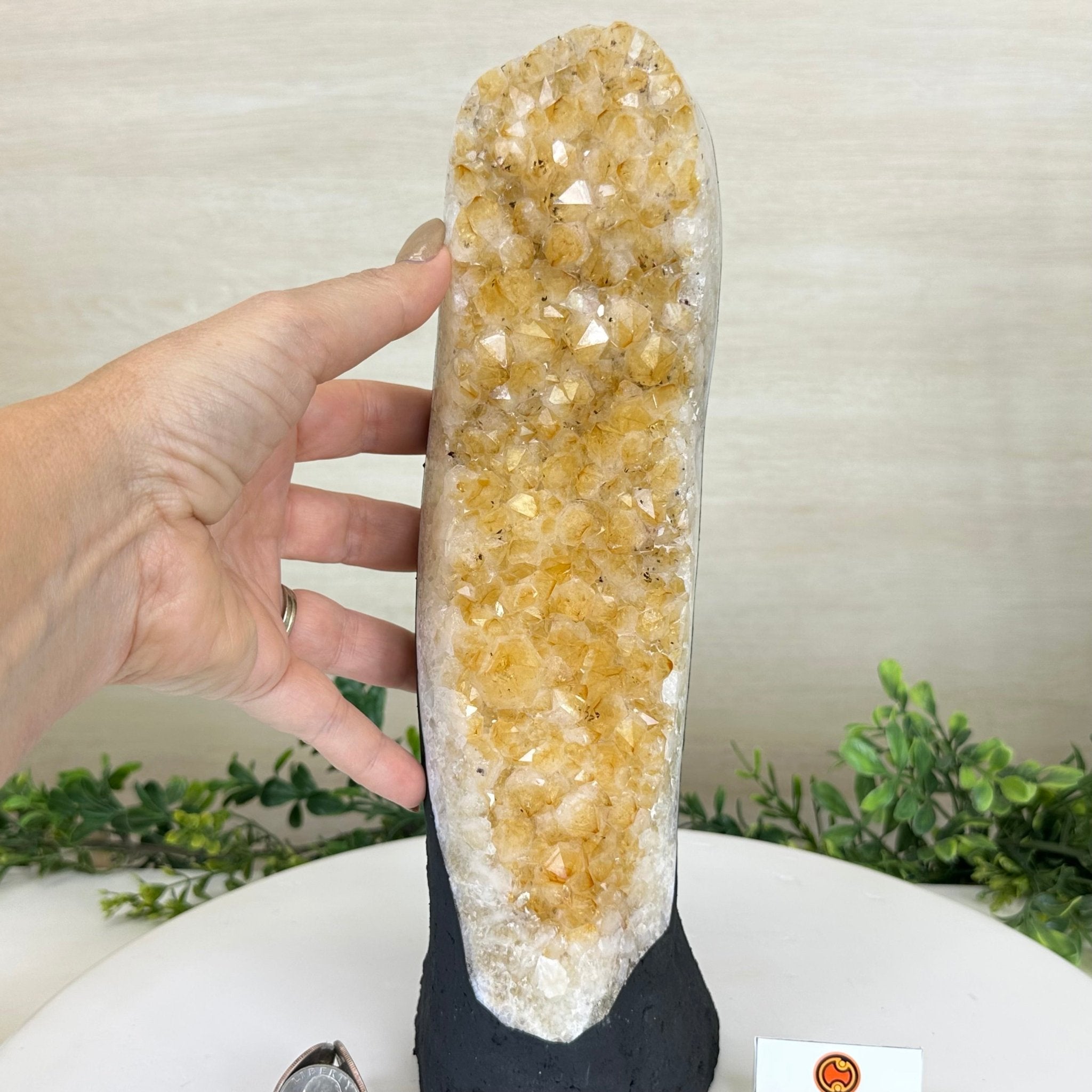 Extra Quality Citrine Cluster on Cement Base, 6 lbs and 11.8" Tall 5615 - 0053 - Brazil GemsBrazil GemsExtra Quality Citrine Cluster on Cement Base, 6 lbs and 11.8" Tall 5615 - 0053Clusters on Cement Bases5615 - 0053
