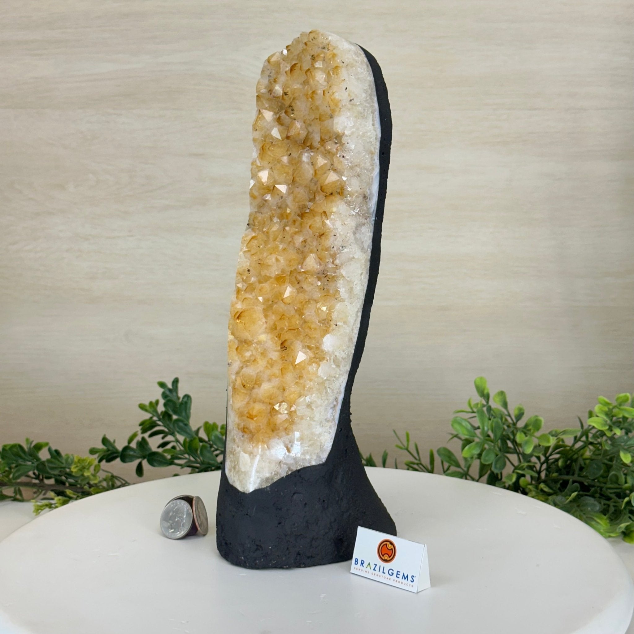 Extra Quality Citrine Cluster on Cement Base, 6 lbs and 11.8" Tall 5615 - 0053 - Brazil GemsBrazil GemsExtra Quality Citrine Cluster on Cement Base, 6 lbs and 11.8" Tall 5615 - 0053Clusters on Cement Bases5615 - 0053