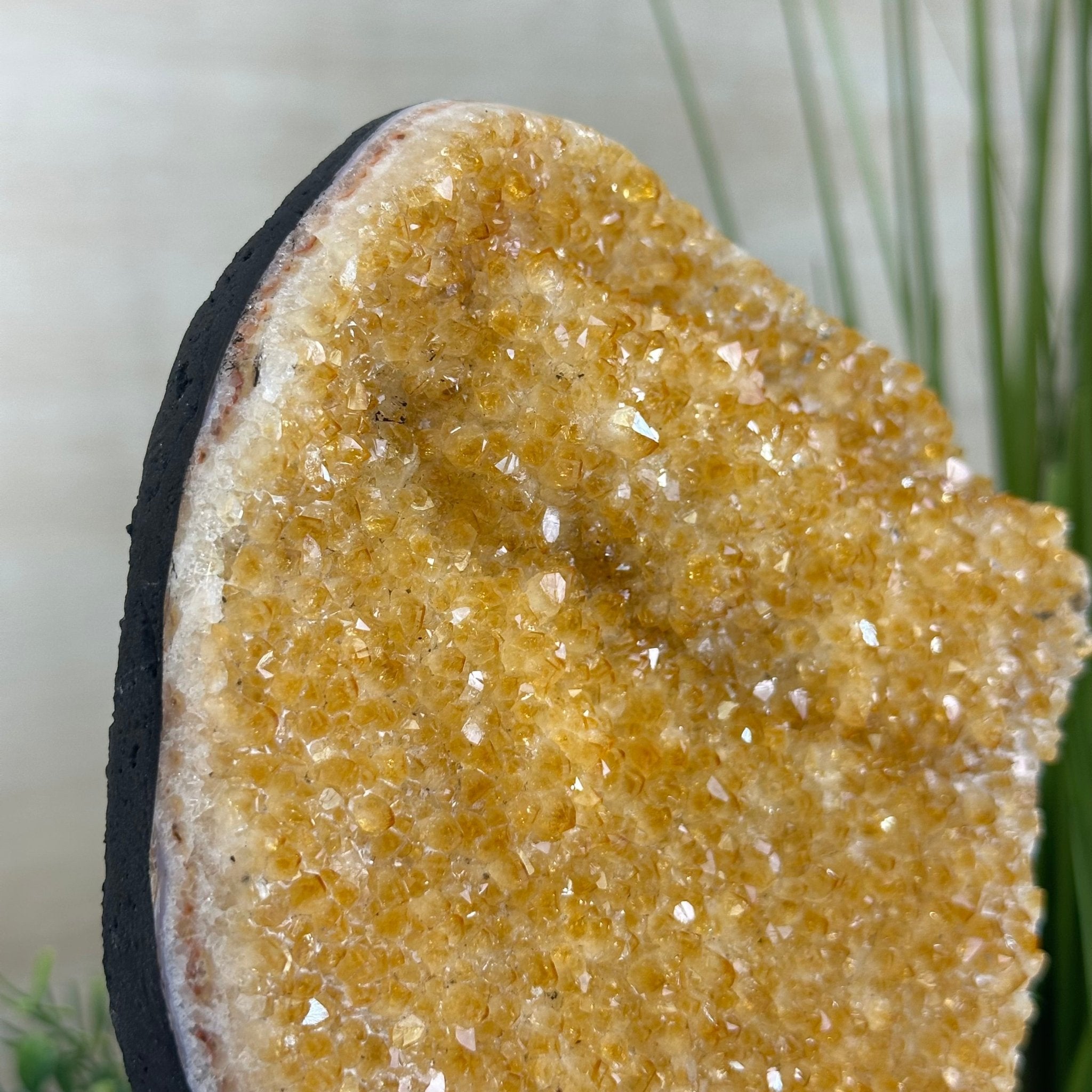 Extra Quality Citrine Cluster on Cement Base, 6.1 lbs and 8.8" Tall 5615 - 0054 - Brazil GemsBrazil GemsExtra Quality Citrine Cluster on Cement Base, 6.1 lbs and 8.8" Tall 5615 - 0054Clusters on Cement Bases5615 - 0054