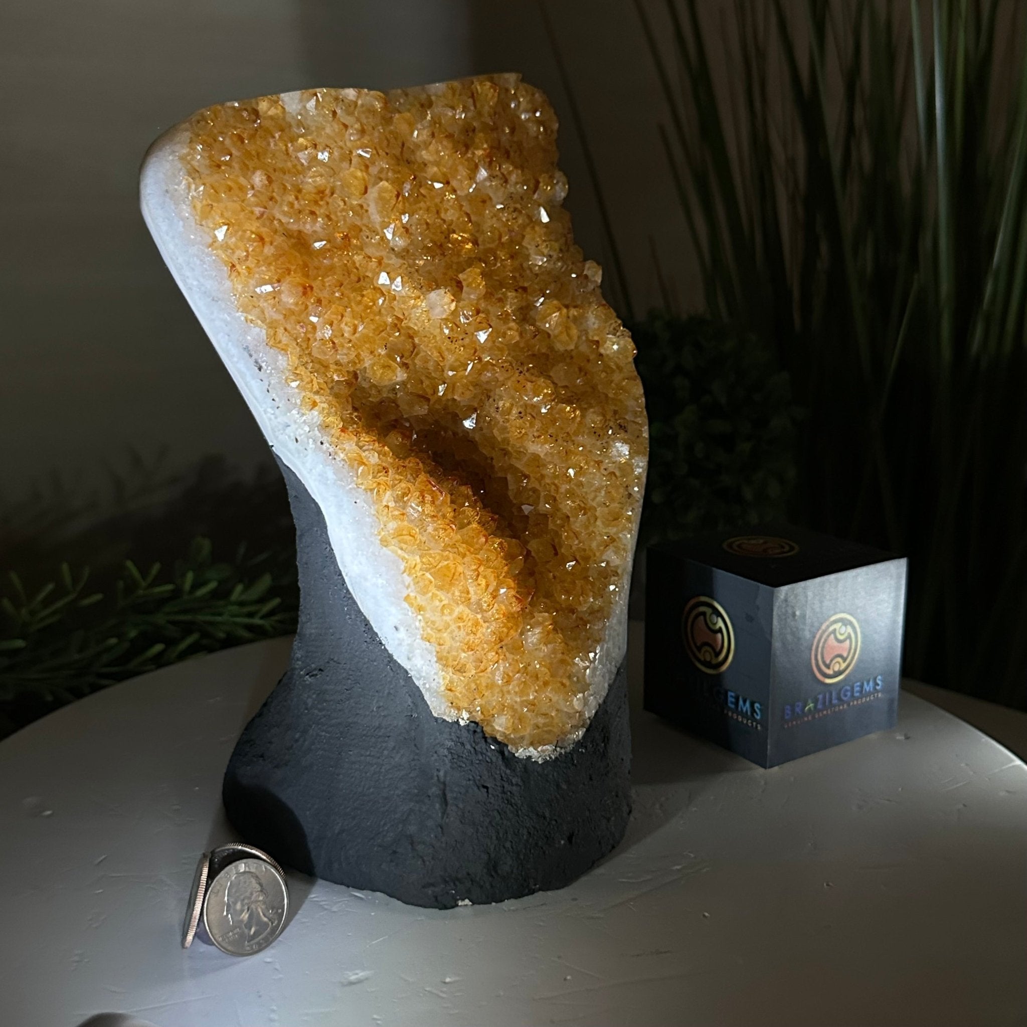 Extra Quality Citrine Cluster on Cement Base, 6.6 lbs and 8.8" Tall #5615 - 0044 - Brazil GemsBrazil GemsExtra Quality Citrine Cluster on Cement Base, 6.6 lbs and 8.8" Tall #5615 - 0044Clusters on Cement Bases5615 - 0044