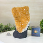 Extra Quality Citrine Cluster on Cement Base, 6.6 lbs and 8.8" Tall #5615 - 0044 - Brazil GemsBrazil GemsExtra Quality Citrine Cluster on Cement Base, 6.6 lbs and 8.8" Tall #5615 - 0044Clusters on Cement Bases5615 - 0044