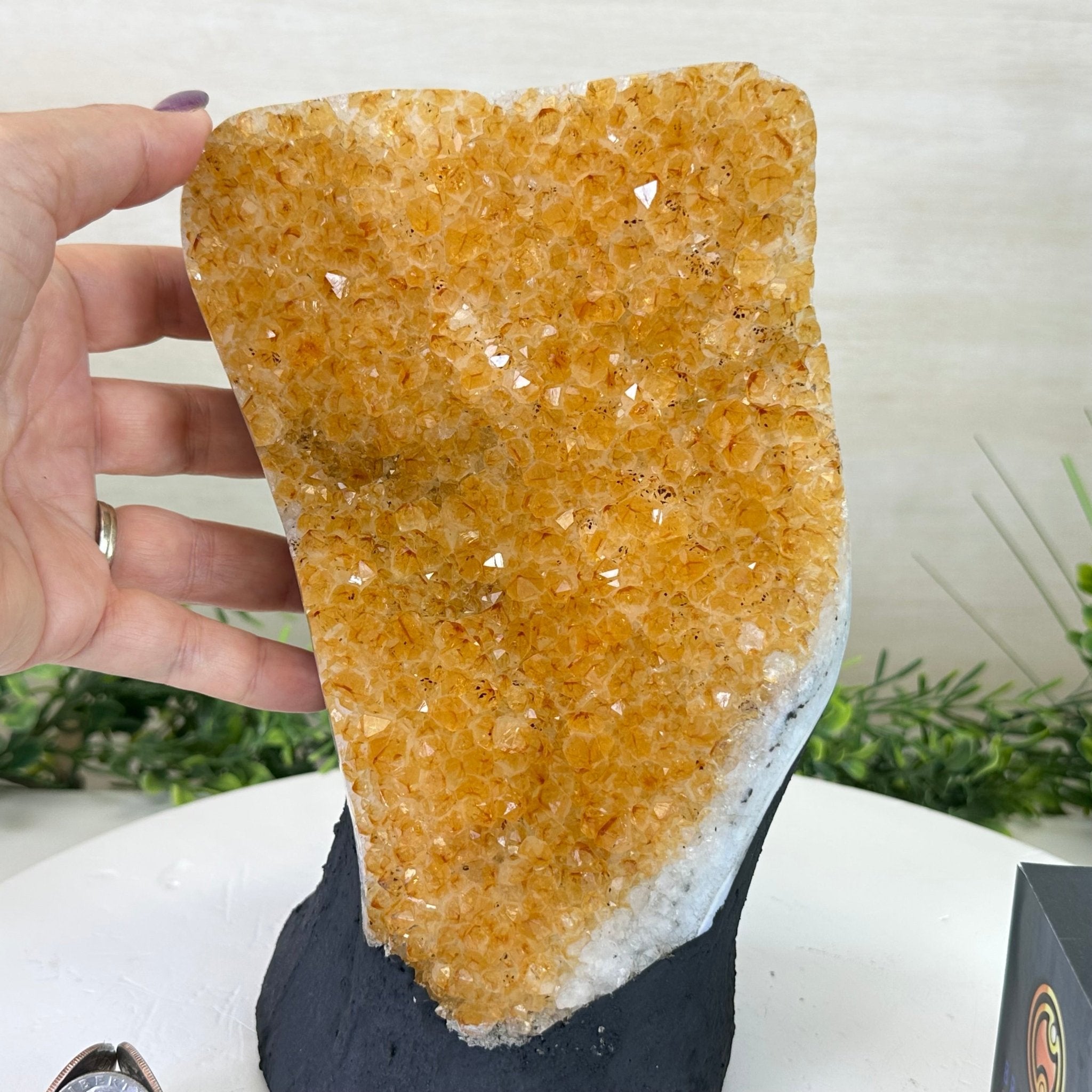 Extra Quality Citrine Cluster on Cement Base, 6.6 lbs and 8.8" Tall #5615 - 0044 - Brazil GemsBrazil GemsExtra Quality Citrine Cluster on Cement Base, 6.6 lbs and 8.8" Tall #5615 - 0044Clusters on Cement Bases5615 - 0044