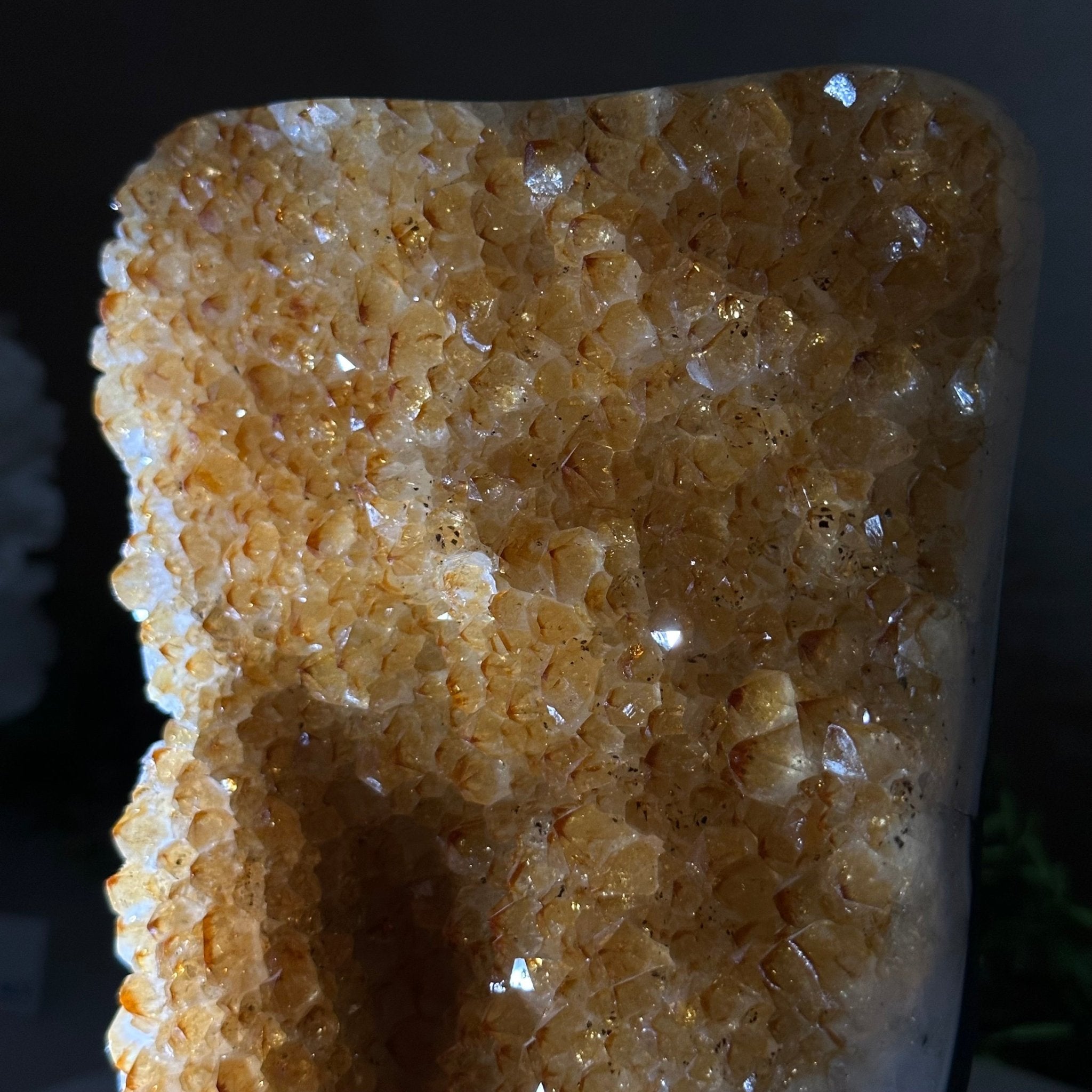 Extra Quality Citrine Cluster on Cement Base, 6.6 lbs and 8.8" Tall #5615 - 0044 - Brazil GemsBrazil GemsExtra Quality Citrine Cluster on Cement Base, 6.6 lbs and 8.8" Tall #5615 - 0044Clusters on Cement Bases5615 - 0044