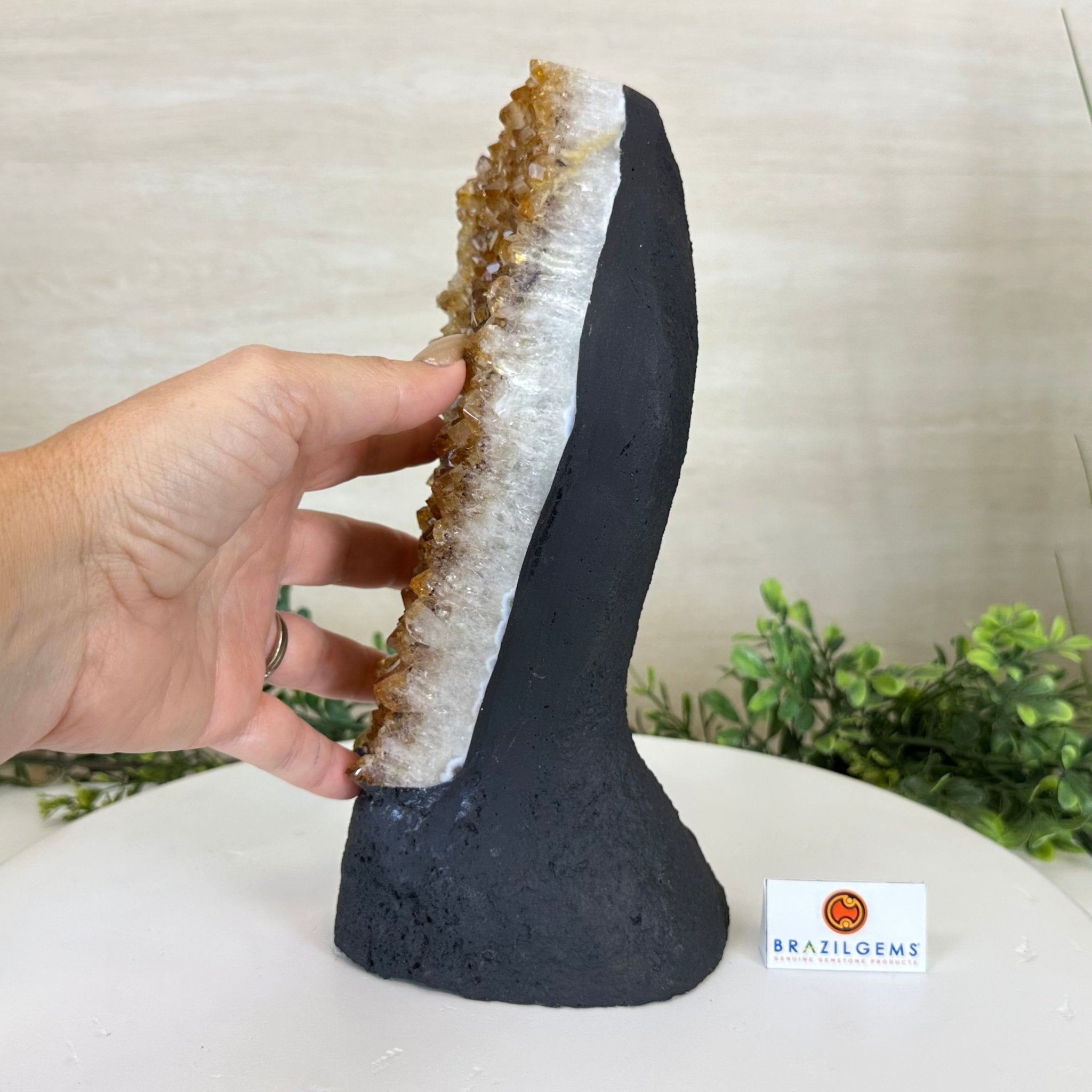 Extra Quality Citrine Cluster on Cement Base, 7.1 lbs and 10.4" Tall 5615 - 0055 - Brazil GemsBrazil GemsExtra Quality Citrine Cluster on Cement Base, 7.1 lbs and 10.4" Tall 5615 - 0055Clusters on Cement Bases5615 - 0055