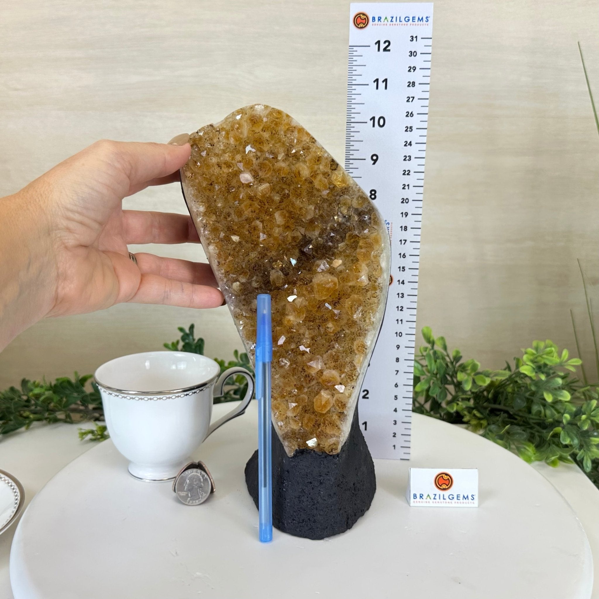 Extra Quality Citrine Cluster on Cement Base, 7.1 lbs and 10.4" Tall 5615 - 0055 - Brazil GemsBrazil GemsExtra Quality Citrine Cluster on Cement Base, 7.1 lbs and 10.4" Tall 5615 - 0055Clusters on Cement Bases5615 - 0055