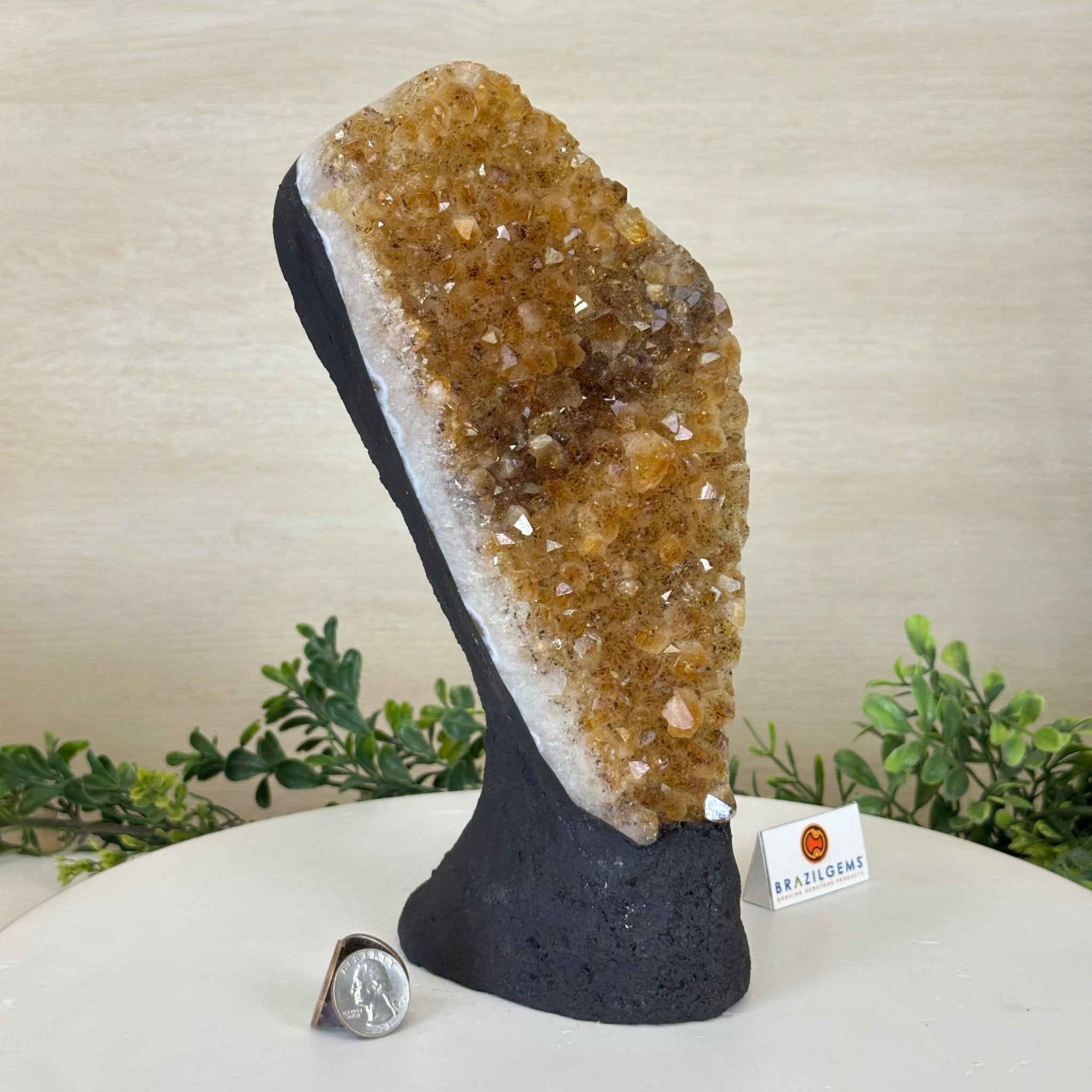 Extra Quality Citrine Cluster on Cement Base, 7.1 lbs and 10.4" Tall 5615 - 0055 - Brazil GemsBrazil GemsExtra Quality Citrine Cluster on Cement Base, 7.1 lbs and 10.4" Tall 5615 - 0055Clusters on Cement Bases5615 - 0055