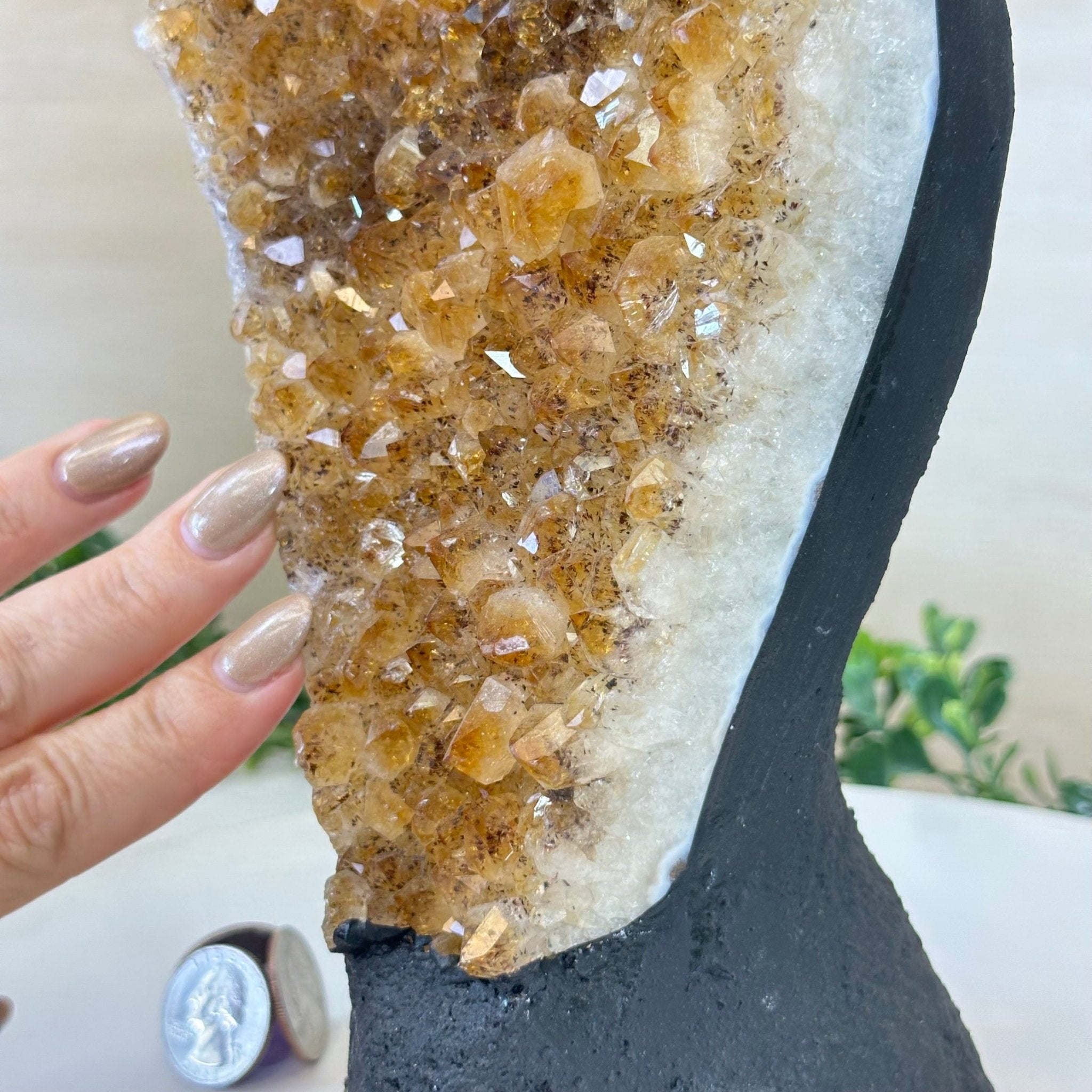 Extra Quality Citrine Cluster on Cement Base, 7.1 lbs and 10.4" Tall 5615 - 0055 - Brazil GemsBrazil GemsExtra Quality Citrine Cluster on Cement Base, 7.1 lbs and 10.4" Tall 5615 - 0055Clusters on Cement Bases5615 - 0055