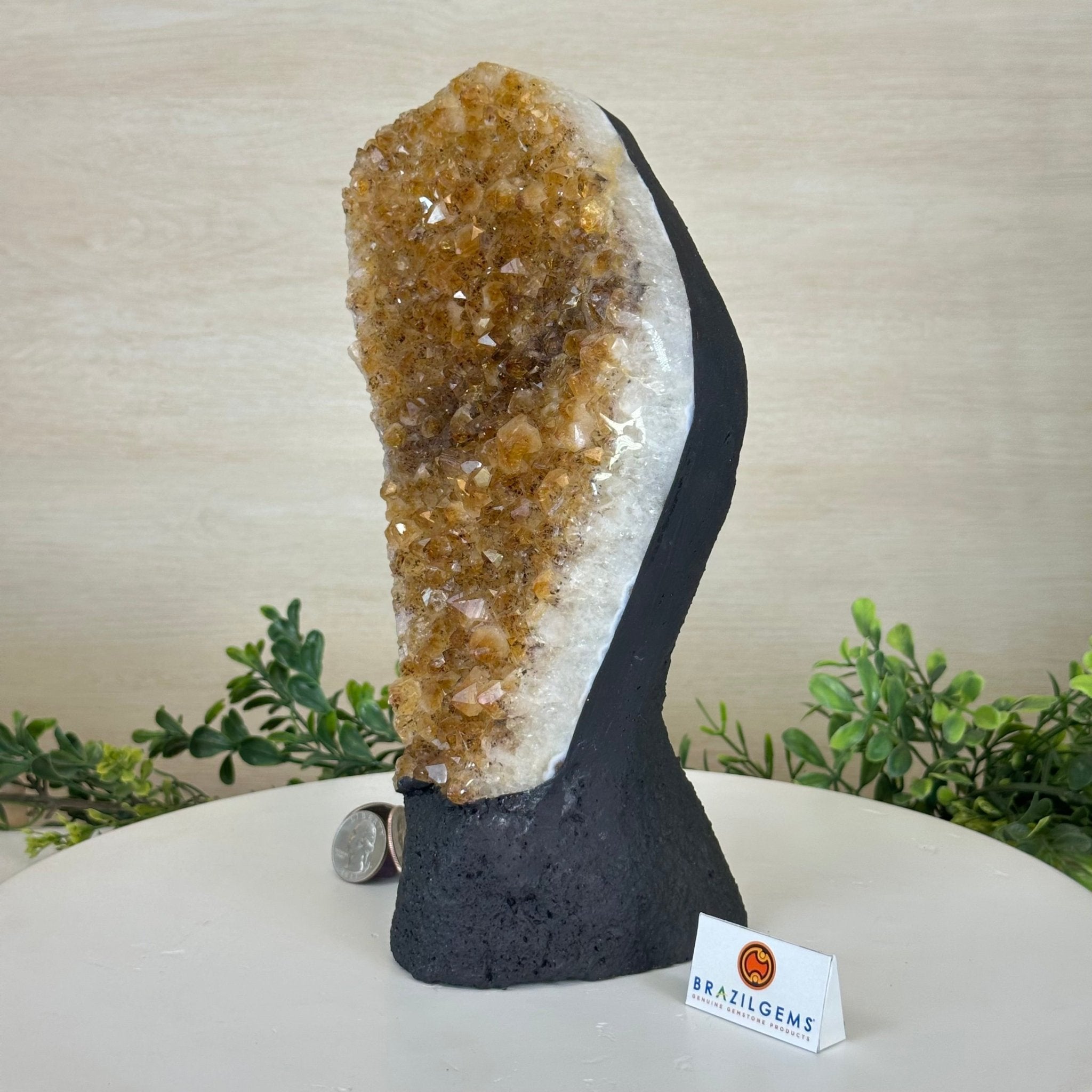 Extra Quality Citrine Cluster on Cement Base, 7.1 lbs and 10.4" Tall 5615 - 0055 - Brazil GemsBrazil GemsExtra Quality Citrine Cluster on Cement Base, 7.1 lbs and 10.4" Tall 5615 - 0055Clusters on Cement Bases5615 - 0055
