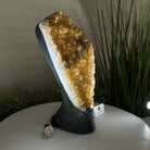 Extra Quality Citrine Cluster on Cement Base, 7.1 lbs and 10.4" Tall 5615 - 0055 - Brazil GemsBrazil GemsExtra Quality Citrine Cluster on Cement Base, 7.1 lbs and 10.4" Tall 5615 - 0055Clusters on Cement Bases5615 - 0055