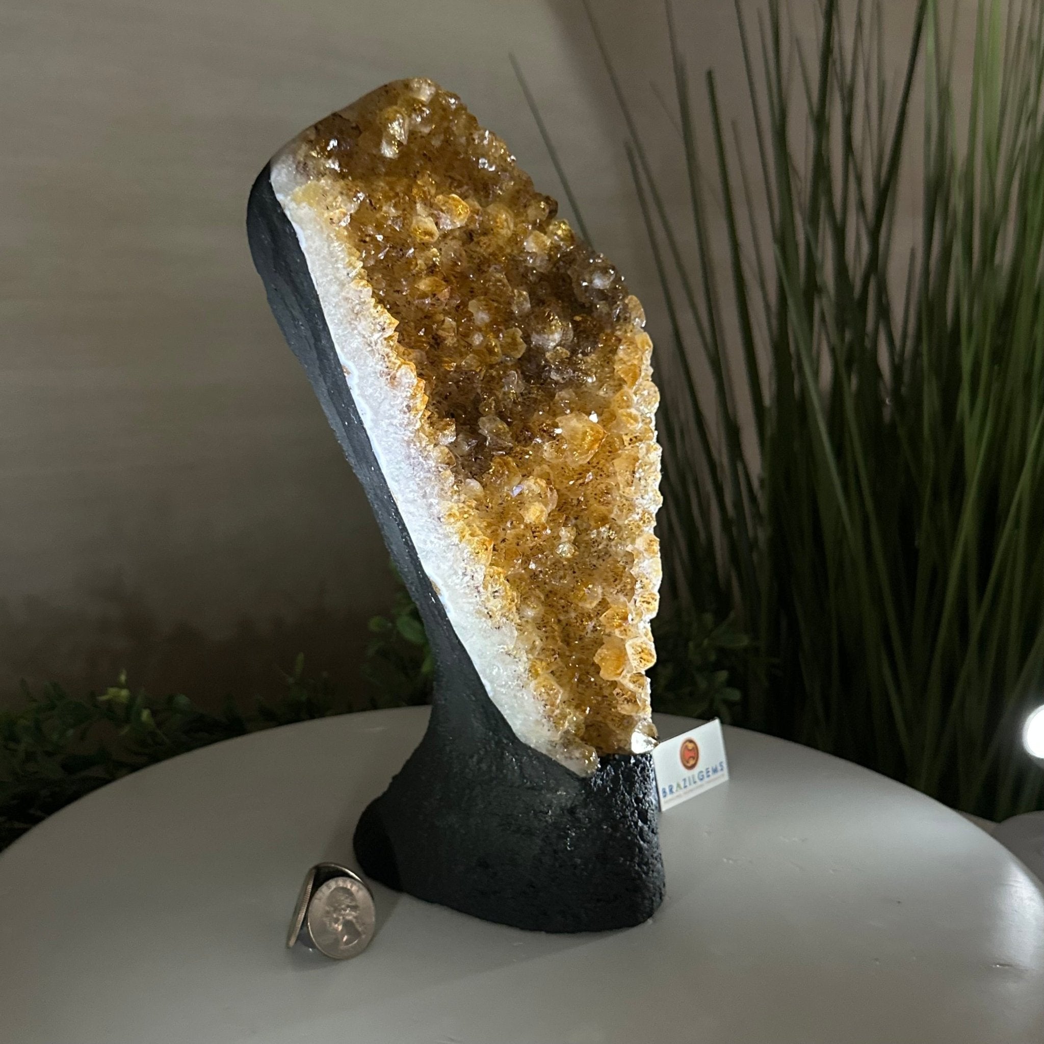 Extra Quality Citrine Cluster on Cement Base, 7.1 lbs and 10.4" Tall 5615 - 0055 - Brazil GemsBrazil GemsExtra Quality Citrine Cluster on Cement Base, 7.1 lbs and 10.4" Tall 5615 - 0055Clusters on Cement Bases5615 - 0055
