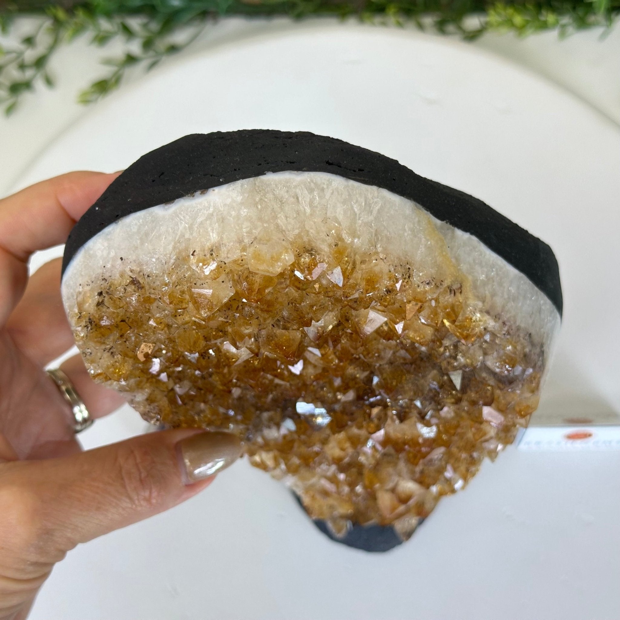 Extra Quality Citrine Cluster on Cement Base, 7.1 lbs and 10.4" Tall 5615 - 0055 - Brazil GemsBrazil GemsExtra Quality Citrine Cluster on Cement Base, 7.1 lbs and 10.4" Tall 5615 - 0055Clusters on Cement Bases5615 - 0055