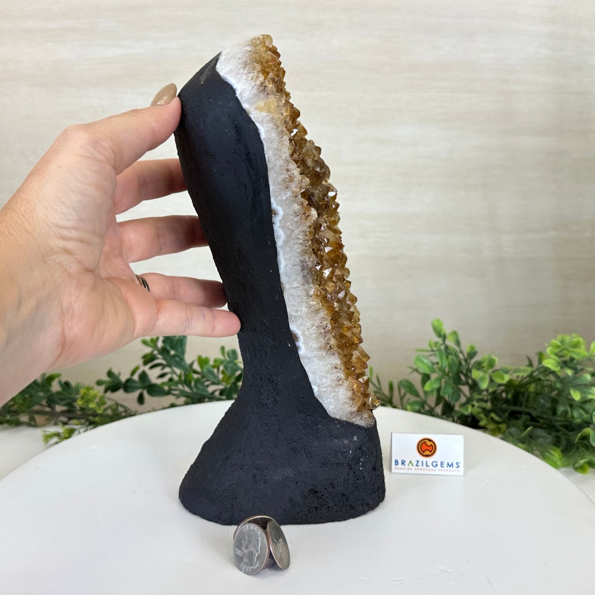 Extra Quality Citrine Cluster on Cement Base, 7.1 lbs and 10.4" Tall 5615 - 0055 - Brazil GemsBrazil GemsExtra Quality Citrine Cluster on Cement Base, 7.1 lbs and 10.4" Tall 5615 - 0055Clusters on Cement Bases5615 - 0055