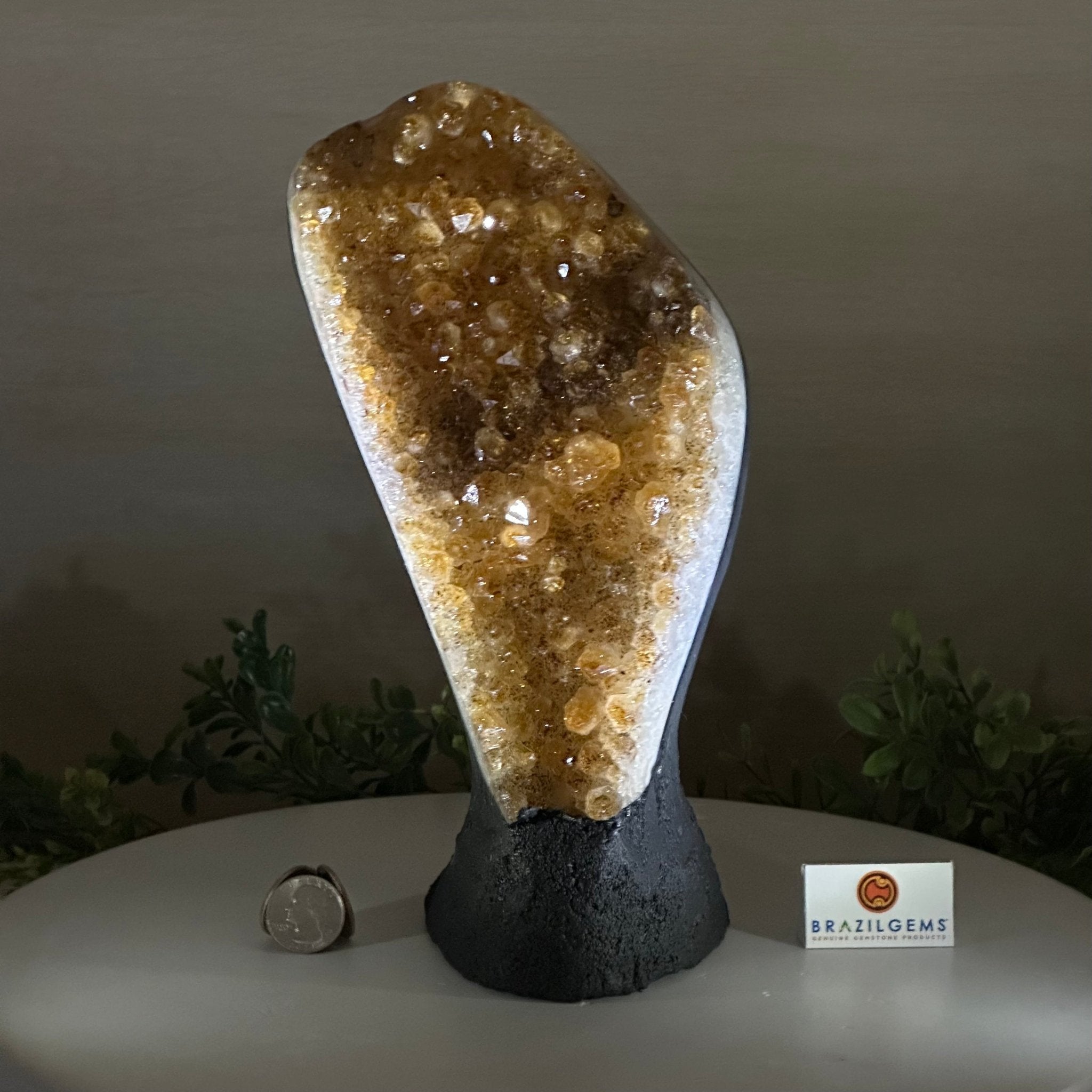 Extra Quality Citrine Cluster on Cement Base, 7.1 lbs and 10.4" Tall 5615 - 0055 - Brazil GemsBrazil GemsExtra Quality Citrine Cluster on Cement Base, 7.1 lbs and 10.4" Tall 5615 - 0055Clusters on Cement Bases5615 - 0055