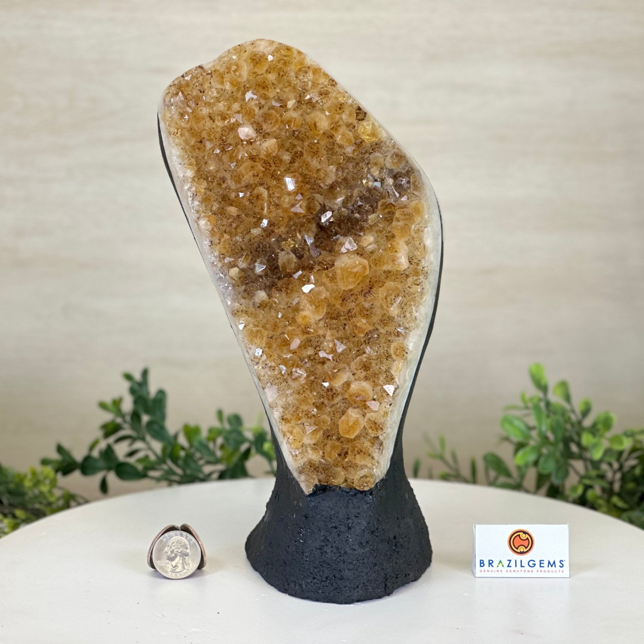 Extra Quality Citrine Cluster on Cement Base, 7.1 lbs and 10.4" Tall 5615 - 0055 - Brazil GemsBrazil GemsExtra Quality Citrine Cluster on Cement Base, 7.1 lbs and 10.4" Tall 5615 - 0055Clusters on Cement Bases5615 - 0055