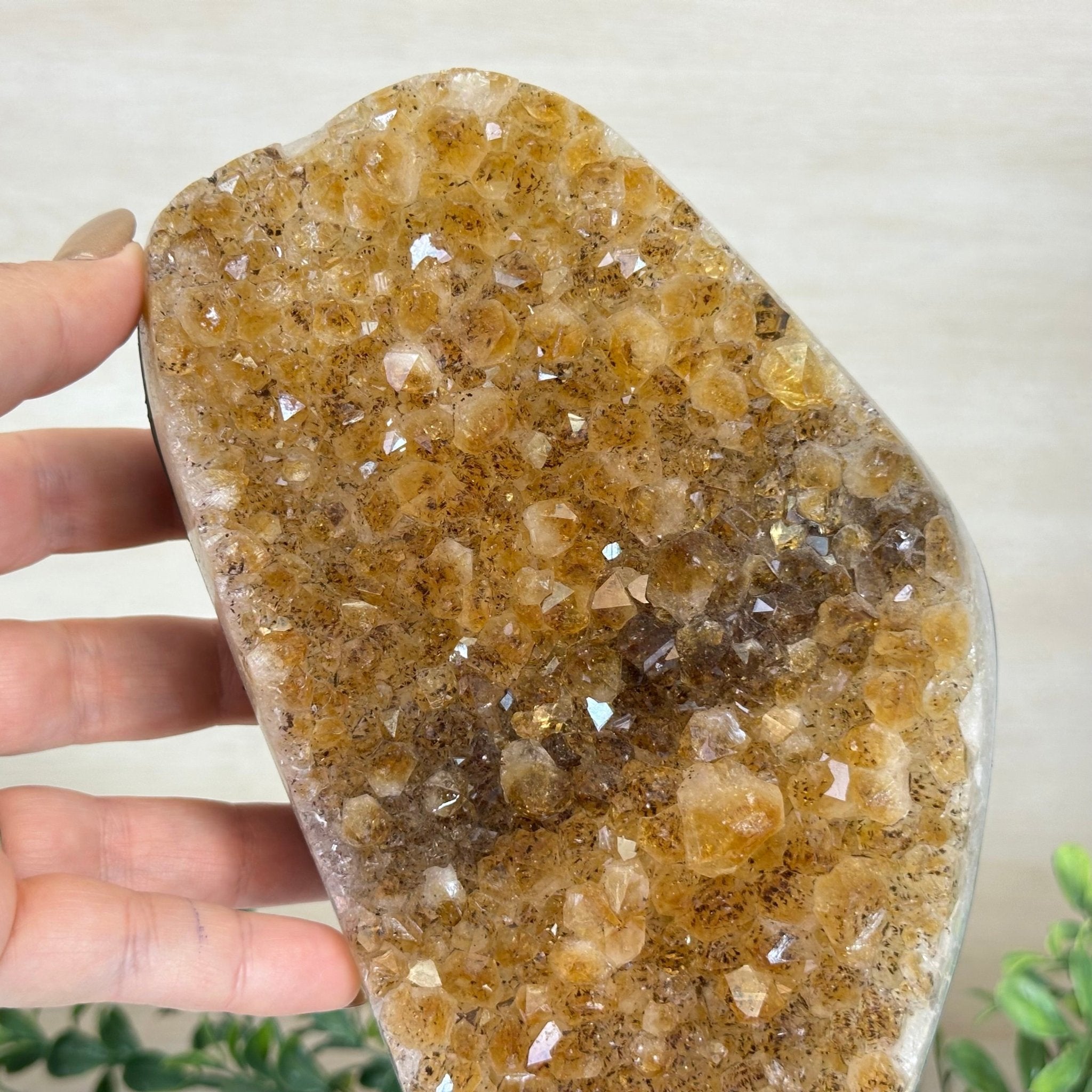Extra Quality Citrine Cluster on Cement Base, 7.1 lbs and 10.4" Tall 5615 - 0055 - Brazil GemsBrazil GemsExtra Quality Citrine Cluster on Cement Base, 7.1 lbs and 10.4" Tall 5615 - 0055Clusters on Cement Bases5615 - 0055