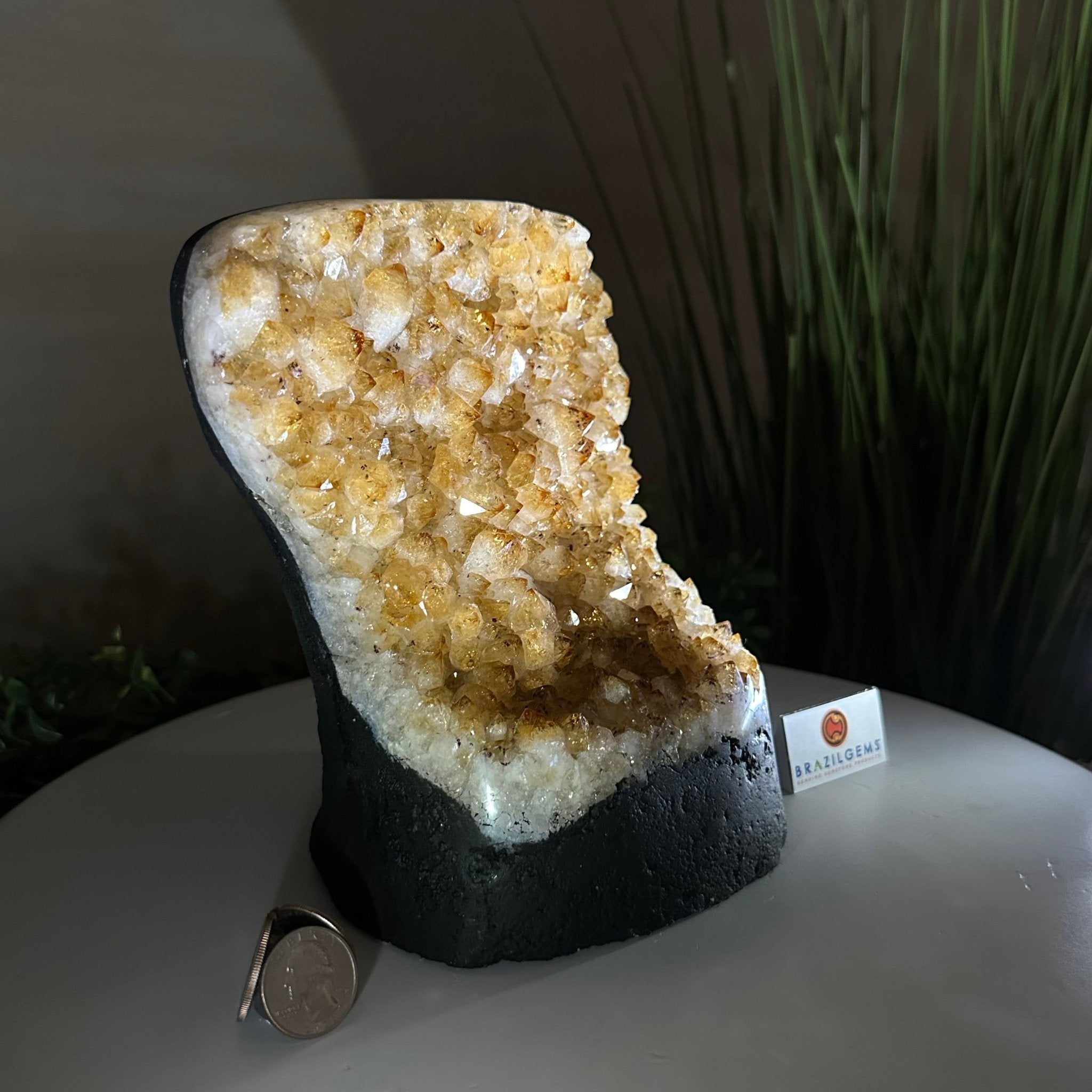 Extra Quality Citrine Cluster on Cement Base, 7.2 lbs and 7.4" Tall 5615 - 0056 - Brazil GemsBrazil GemsExtra Quality Citrine Cluster on Cement Base, 7.2 lbs and 7.4" Tall 5615 - 0056Clusters on Cement Bases5615 - 0056