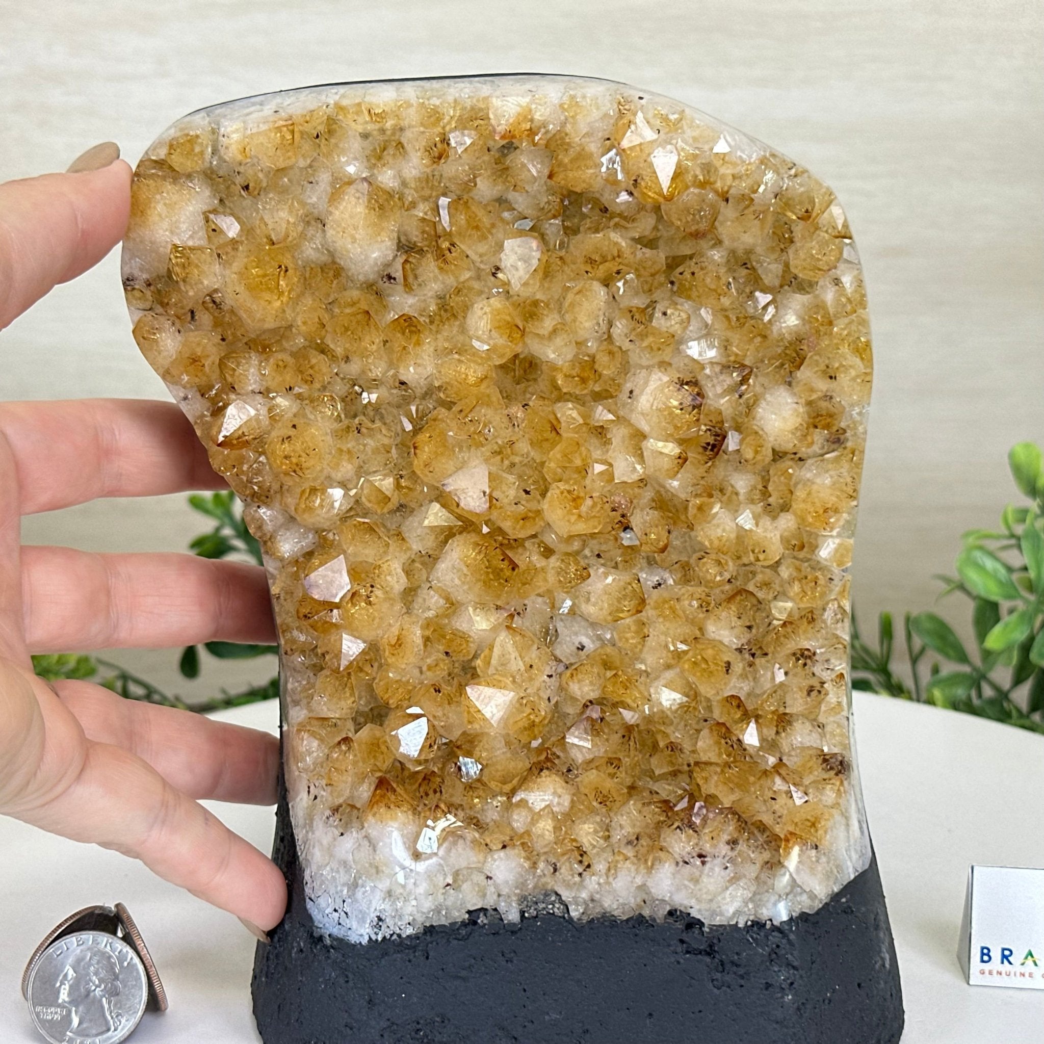 Extra Quality Citrine Cluster on Cement Base, 7.2 lbs and 7.4" Tall 5615 - 0056 - Brazil GemsBrazil GemsExtra Quality Citrine Cluster on Cement Base, 7.2 lbs and 7.4" Tall 5615 - 0056Clusters on Cement Bases5615 - 0056