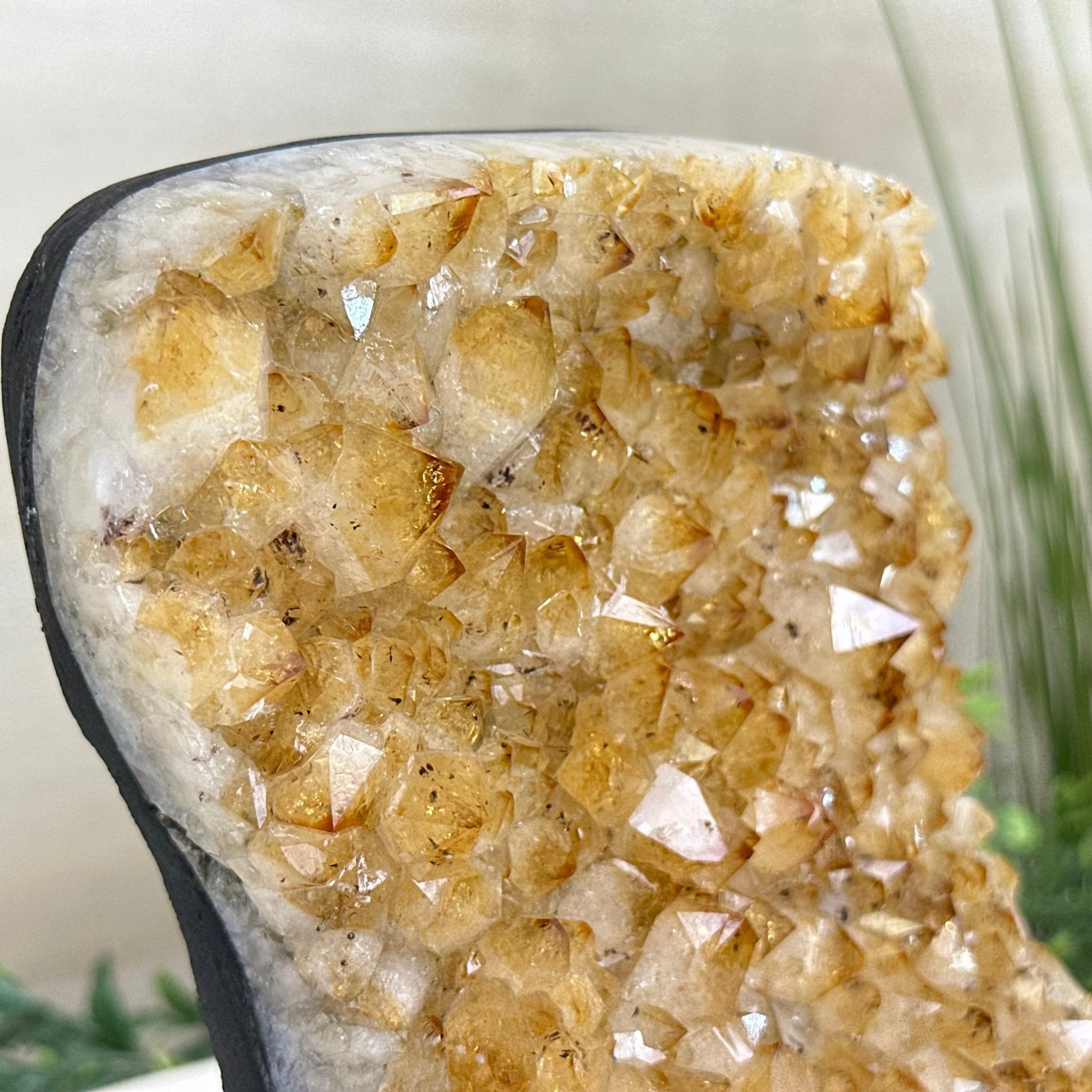 Extra Quality Citrine Cluster on Cement Base, 7.2 lbs and 7.4" Tall 5615 - 0056 - Brazil GemsBrazil GemsExtra Quality Citrine Cluster on Cement Base, 7.2 lbs and 7.4" Tall 5615 - 0056Clusters on Cement Bases5615 - 0056