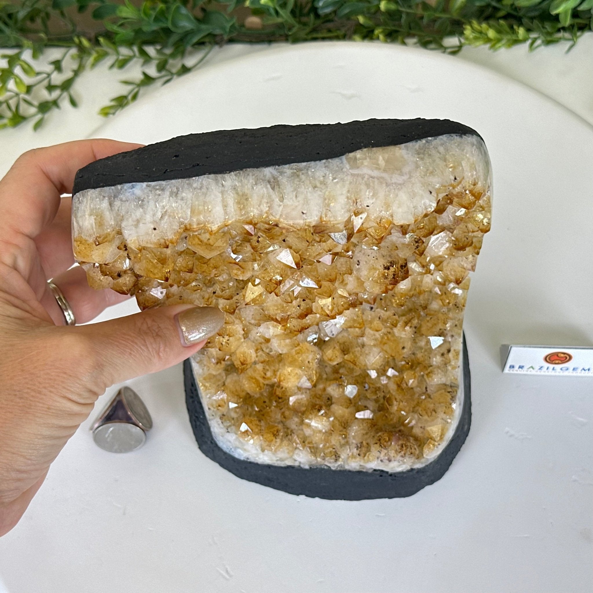 Extra Quality Citrine Cluster on Cement Base, 7.2 lbs and 7.4" Tall 5615 - 0056 - Brazil GemsBrazil GemsExtra Quality Citrine Cluster on Cement Base, 7.2 lbs and 7.4" Tall 5615 - 0056Clusters on Cement Bases5615 - 0056