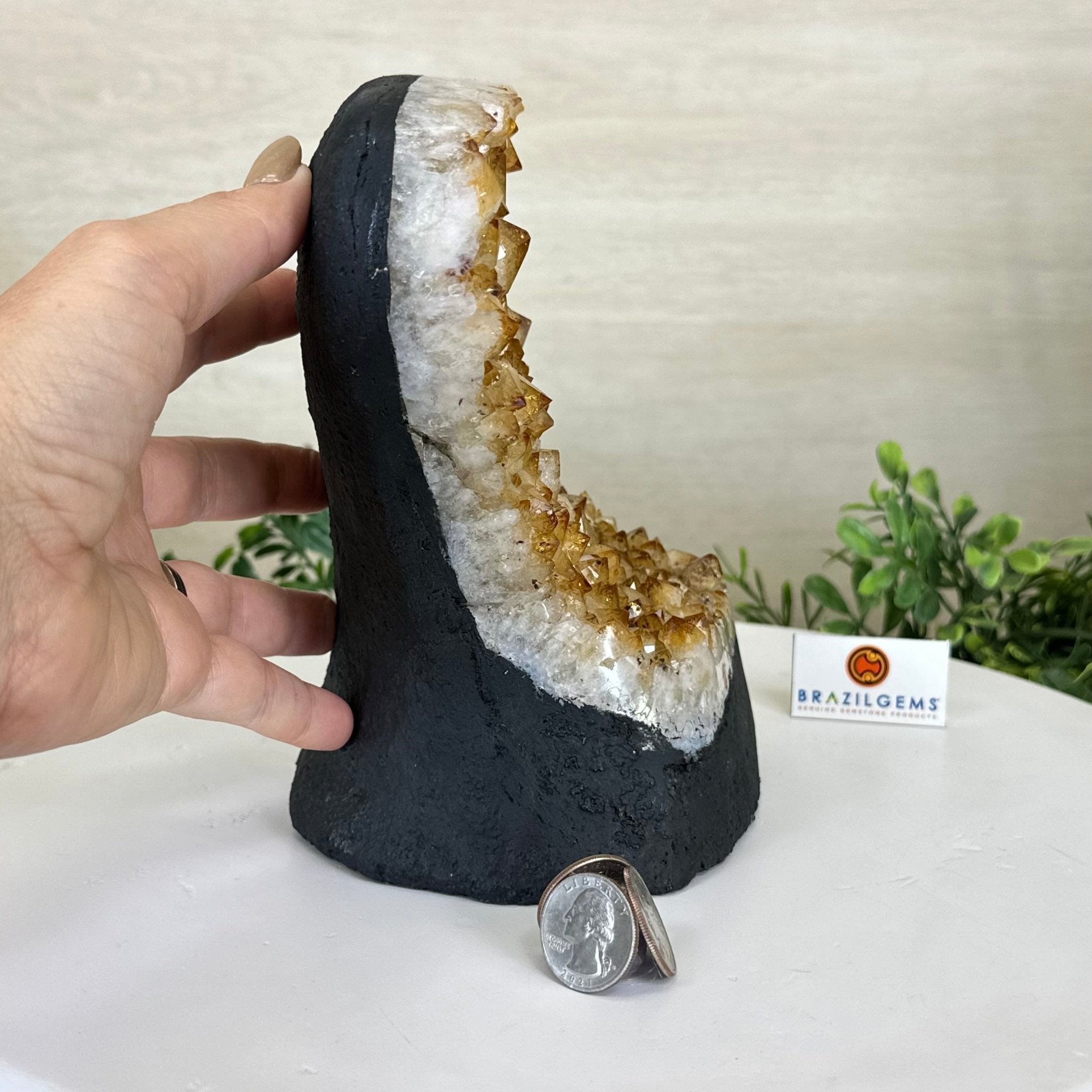 Extra Quality Citrine Cluster on Cement Base, 7.2 lbs and 7.4" Tall 5615 - 0056 - Brazil GemsBrazil GemsExtra Quality Citrine Cluster on Cement Base, 7.2 lbs and 7.4" Tall 5615 - 0056Clusters on Cement Bases5615 - 0056