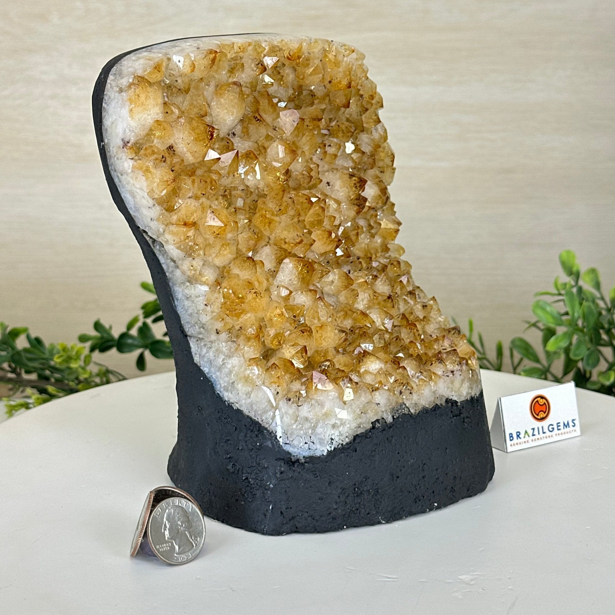 Extra Quality Citrine Cluster on Cement Base, 7.2 lbs and 7.4" Tall 5615 - 0056 - Brazil GemsBrazil GemsExtra Quality Citrine Cluster on Cement Base, 7.2 lbs and 7.4" Tall 5615 - 0056Clusters on Cement Bases5615 - 0056