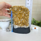 Extra Quality Citrine Cluster on Cement Base, 7.2 lbs and 7.4" Tall 5615 - 0056 - Brazil GemsBrazil GemsExtra Quality Citrine Cluster on Cement Base, 7.2 lbs and 7.4" Tall 5615 - 0056Clusters on Cement Bases5615 - 0056