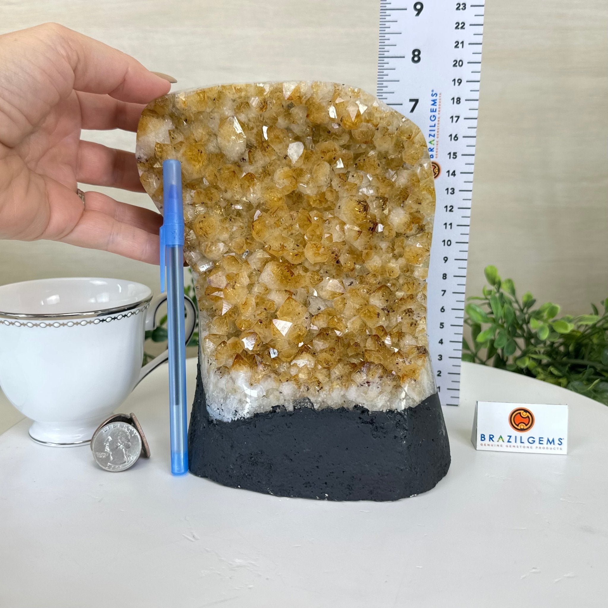 Extra Quality Citrine Cluster on Cement Base, 7.2 lbs and 7.4" Tall 5615 - 0056 - Brazil GemsBrazil GemsExtra Quality Citrine Cluster on Cement Base, 7.2 lbs and 7.4" Tall 5615 - 0056Clusters on Cement Bases5615 - 0056
