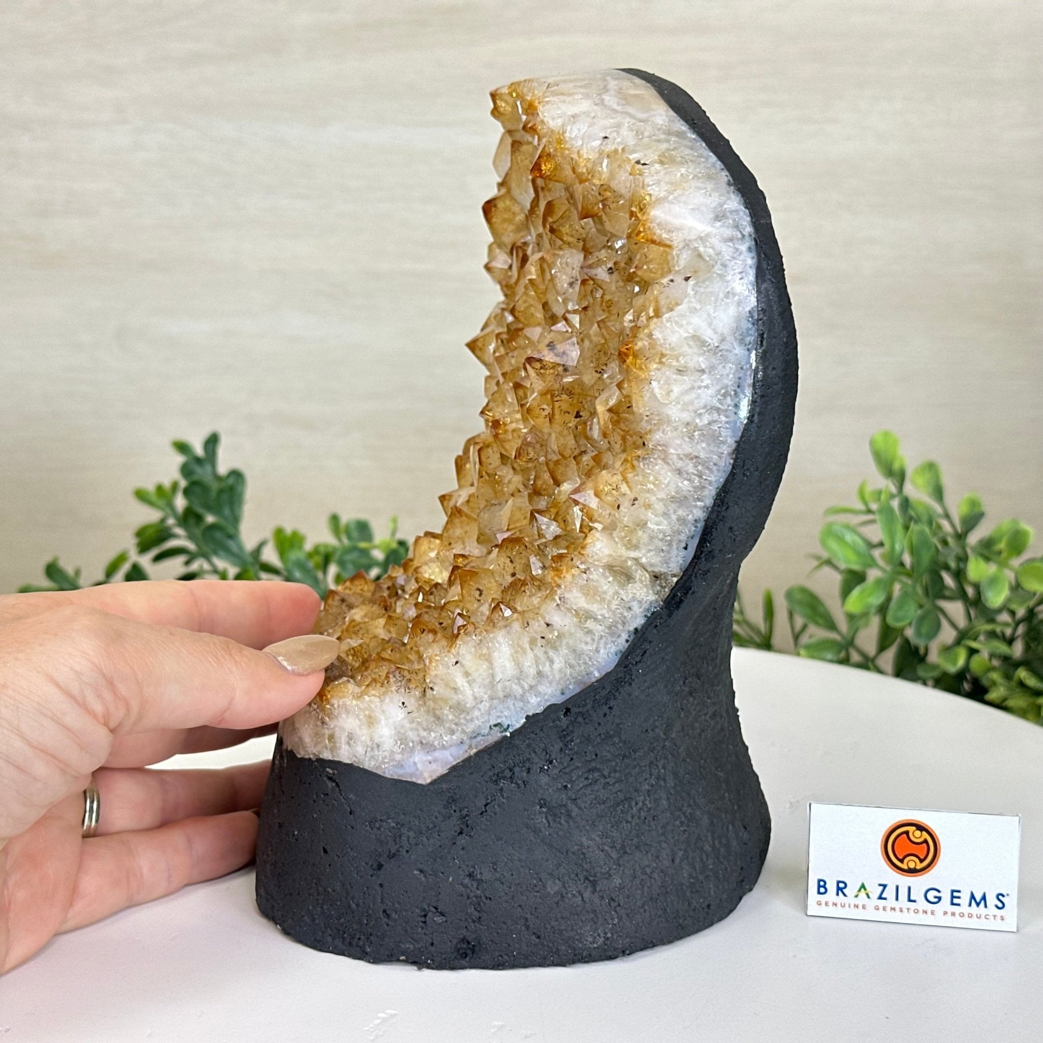 Extra Quality Citrine Cluster on Cement Base, 7.2 lbs and 7.4" Tall 5615 - 0056 - Brazil GemsBrazil GemsExtra Quality Citrine Cluster on Cement Base, 7.2 lbs and 7.4" Tall 5615 - 0056Clusters on Cement Bases5615 - 0056