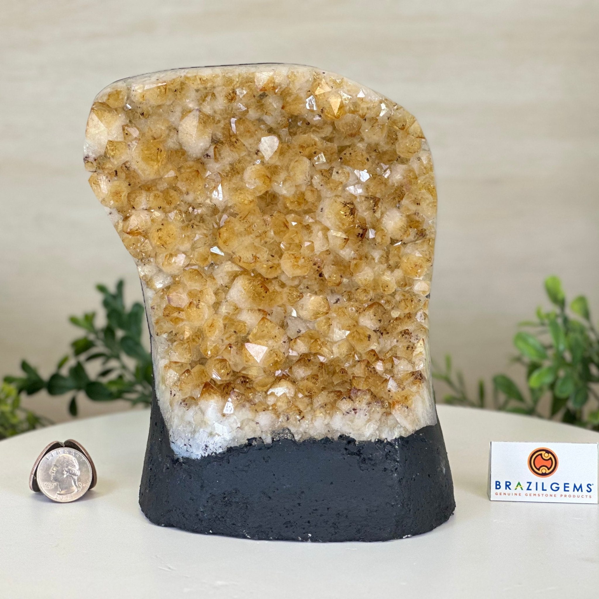Extra Quality Citrine Cluster on Cement Base, 7.2 lbs and 7.4" Tall 5615 - 0056 - Brazil GemsBrazil GemsExtra Quality Citrine Cluster on Cement Base, 7.2 lbs and 7.4" Tall 5615 - 0056Clusters on Cement Bases5615 - 0056