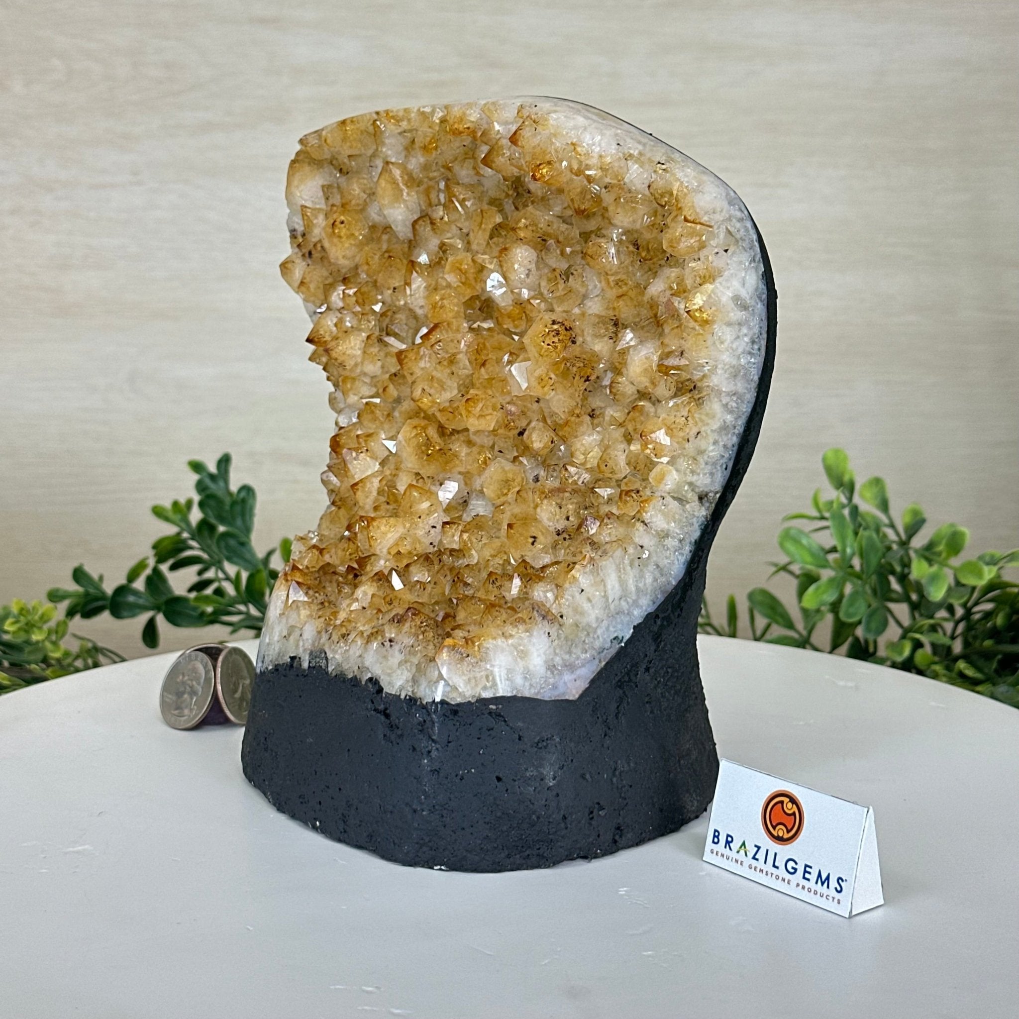 Extra Quality Citrine Cluster on Cement Base, 7.2 lbs and 7.4" Tall 5615 - 0056 - Brazil GemsBrazil GemsExtra Quality Citrine Cluster on Cement Base, 7.2 lbs and 7.4" Tall 5615 - 0056Clusters on Cement Bases5615 - 0056