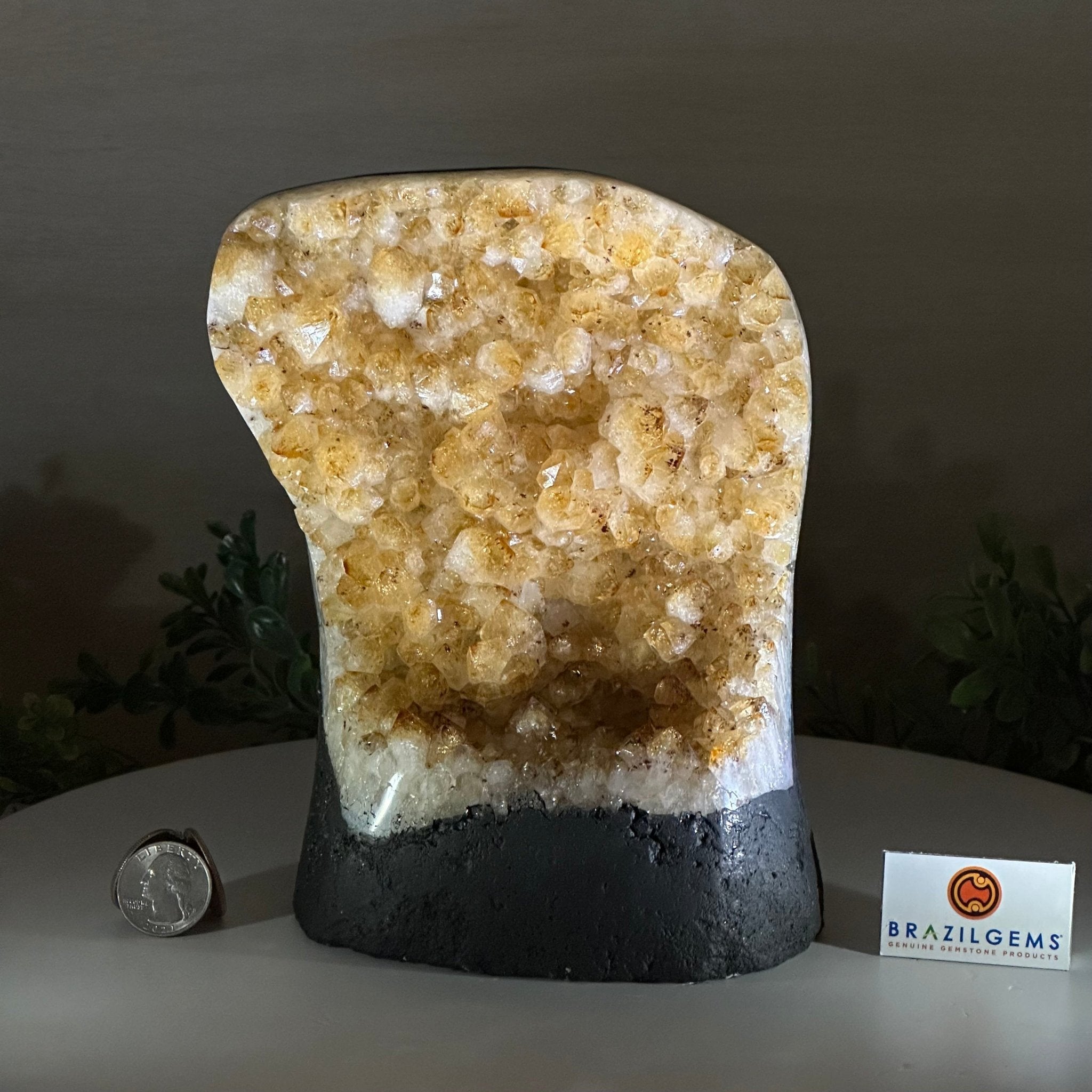 Extra Quality Citrine Cluster on Cement Base, 7.2 lbs and 7.4" Tall 5615 - 0056 - Brazil GemsBrazil GemsExtra Quality Citrine Cluster on Cement Base, 7.2 lbs and 7.4" Tall 5615 - 0056Clusters on Cement Bases5615 - 0056