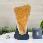 Extra Quality Citrine Cluster on Cement Base, 7.3 lbs and 9.8" Tall #5615 - 0045 - Brazil GemsBrazil GemsExtra Quality Citrine Cluster on Cement Base, 7.3 lbs and 9.8" Tall #5615 - 0045Clusters on Cement Bases5615 - 0045