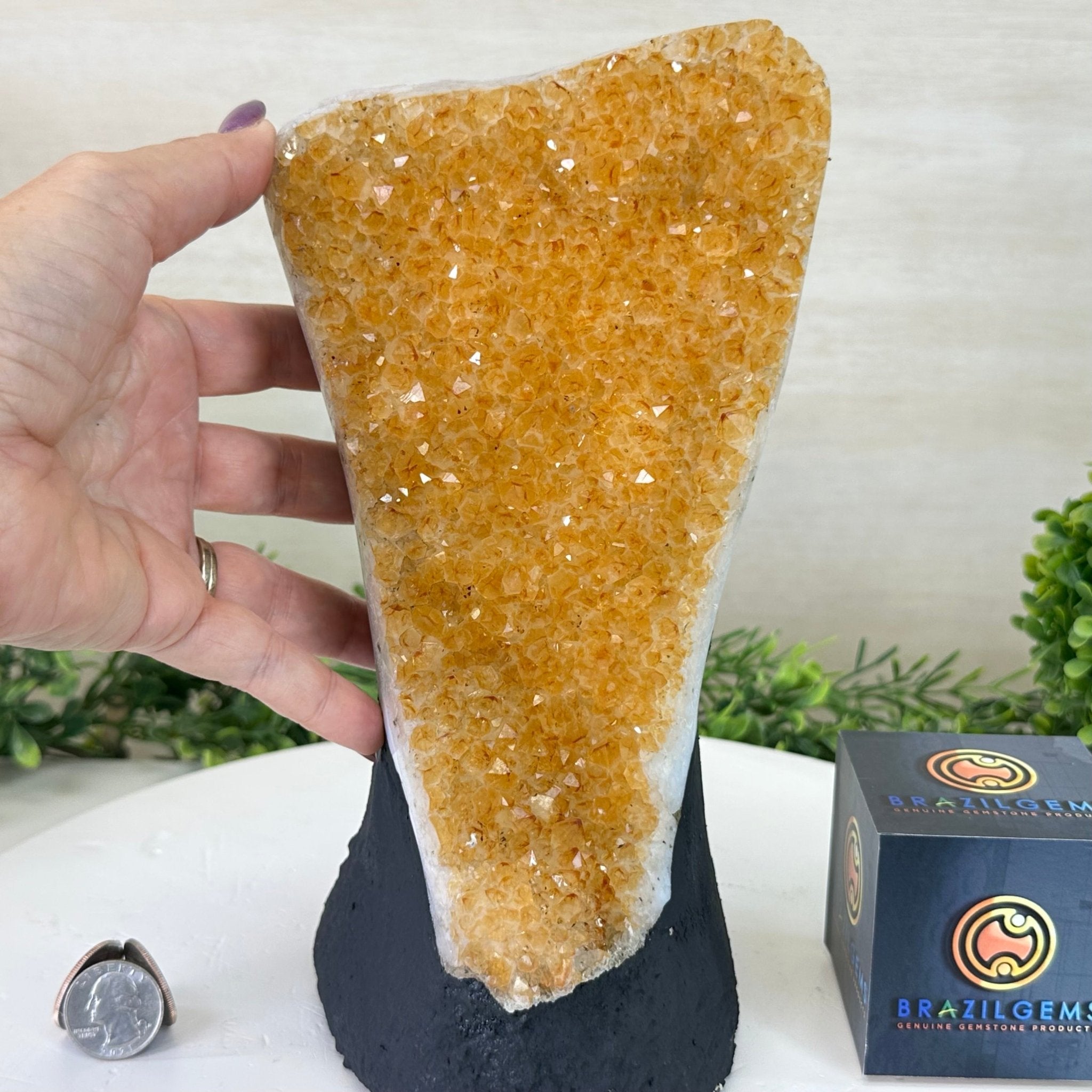 Extra Quality Citrine Cluster on Cement Base, 7.3 lbs and 9.8" Tall #5615 - 0045 - Brazil GemsBrazil GemsExtra Quality Citrine Cluster on Cement Base, 7.3 lbs and 9.8" Tall #5615 - 0045Clusters on Cement Bases5615 - 0045