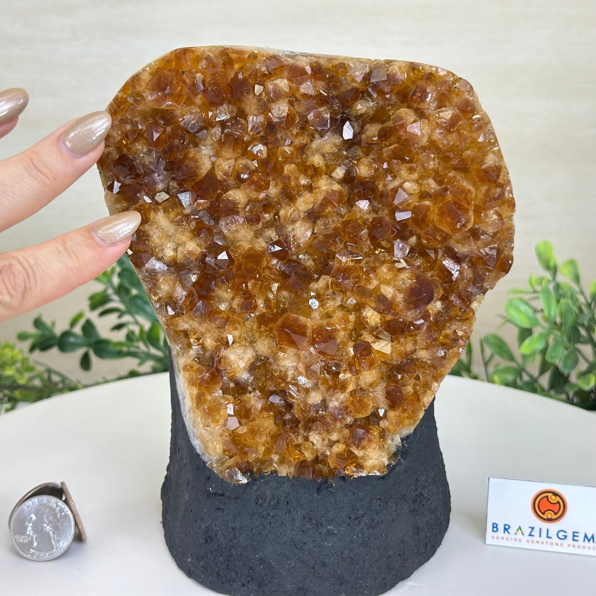 Extra Quality Citrine Cluster on Cement Base, 7.9 lbs and 7.3" Tall 5615 - 0059 - Brazil GemsBrazil GemsExtra Quality Citrine Cluster on Cement Base, 7.9 lbs and 7.3" Tall 5615 - 0059Clusters on Cement Bases5615 - 0059
