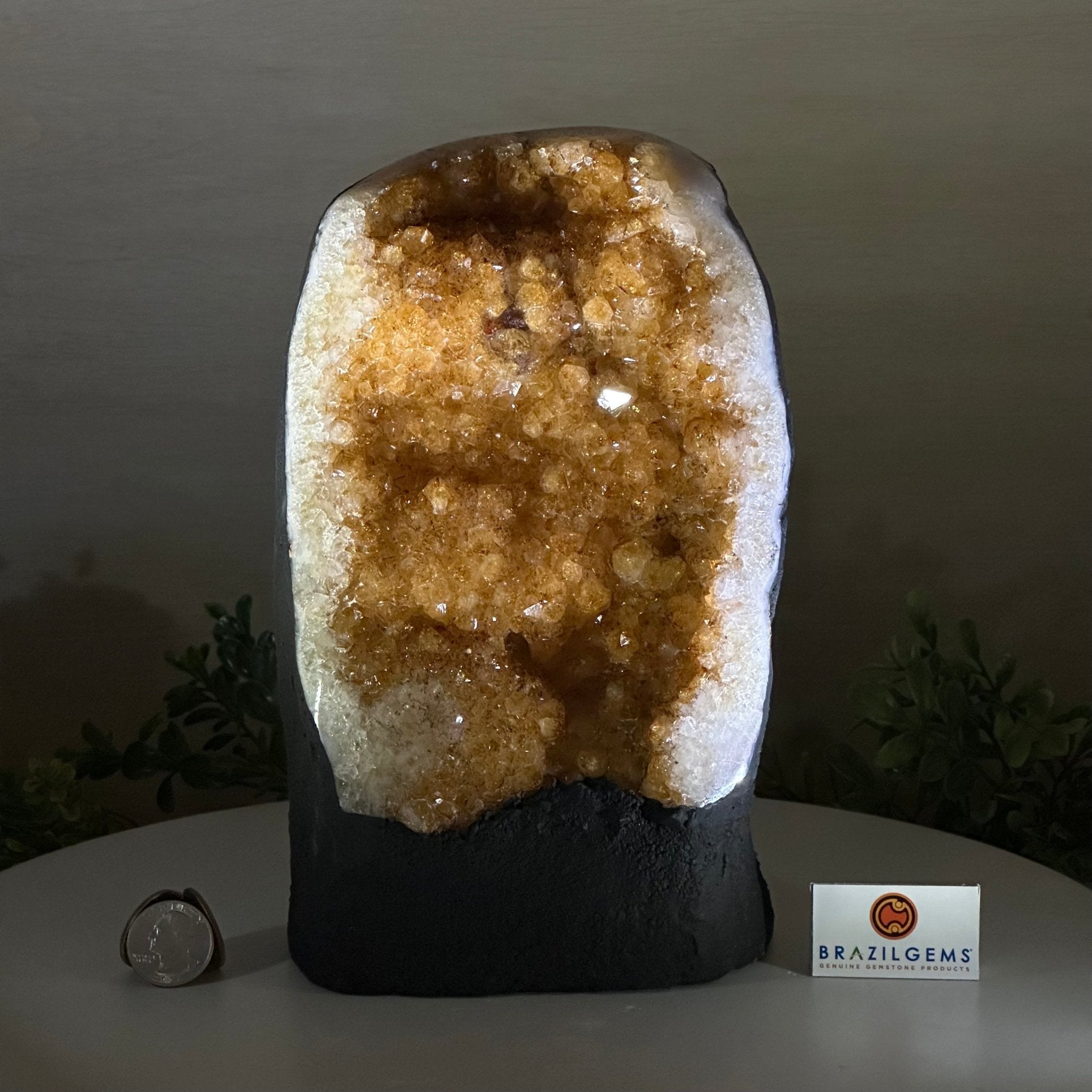 Extra Quality Citrine Cluster on Cement Base, 7.9 lbs and 9.2" Tall 5615 - 0058 - Brazil GemsBrazil GemsExtra Quality Citrine Cluster on Cement Base, 7.9 lbs and 9.2" Tall 5615 - 0058Clusters on Cement Bases5615 - 0058