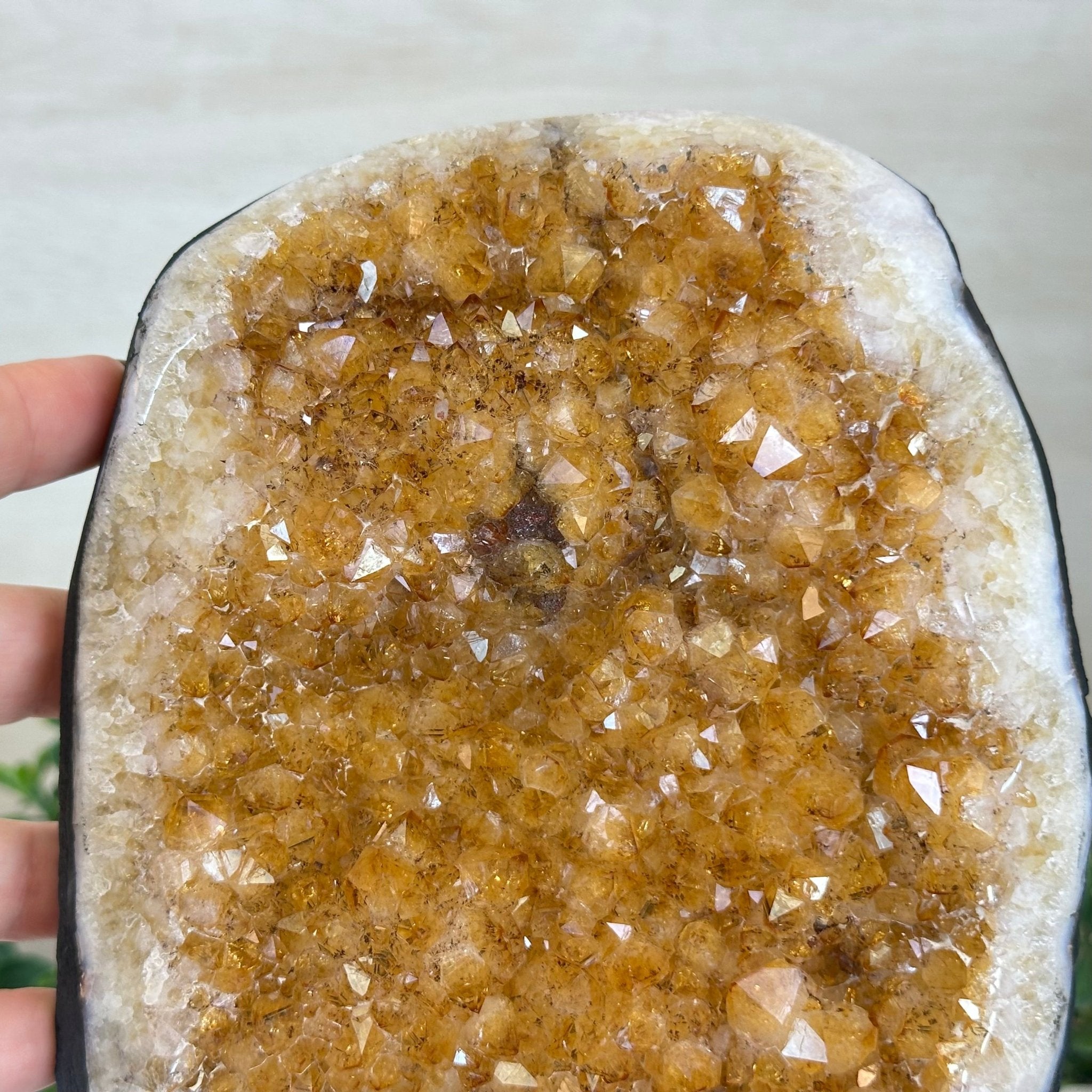 Extra Quality Citrine Cluster on Cement Base, 7.9 lbs and 9.2" Tall 5615 - 0058 - Brazil GemsBrazil GemsExtra Quality Citrine Cluster on Cement Base, 7.9 lbs and 9.2" Tall 5615 - 0058Clusters on Cement Bases5615 - 0058