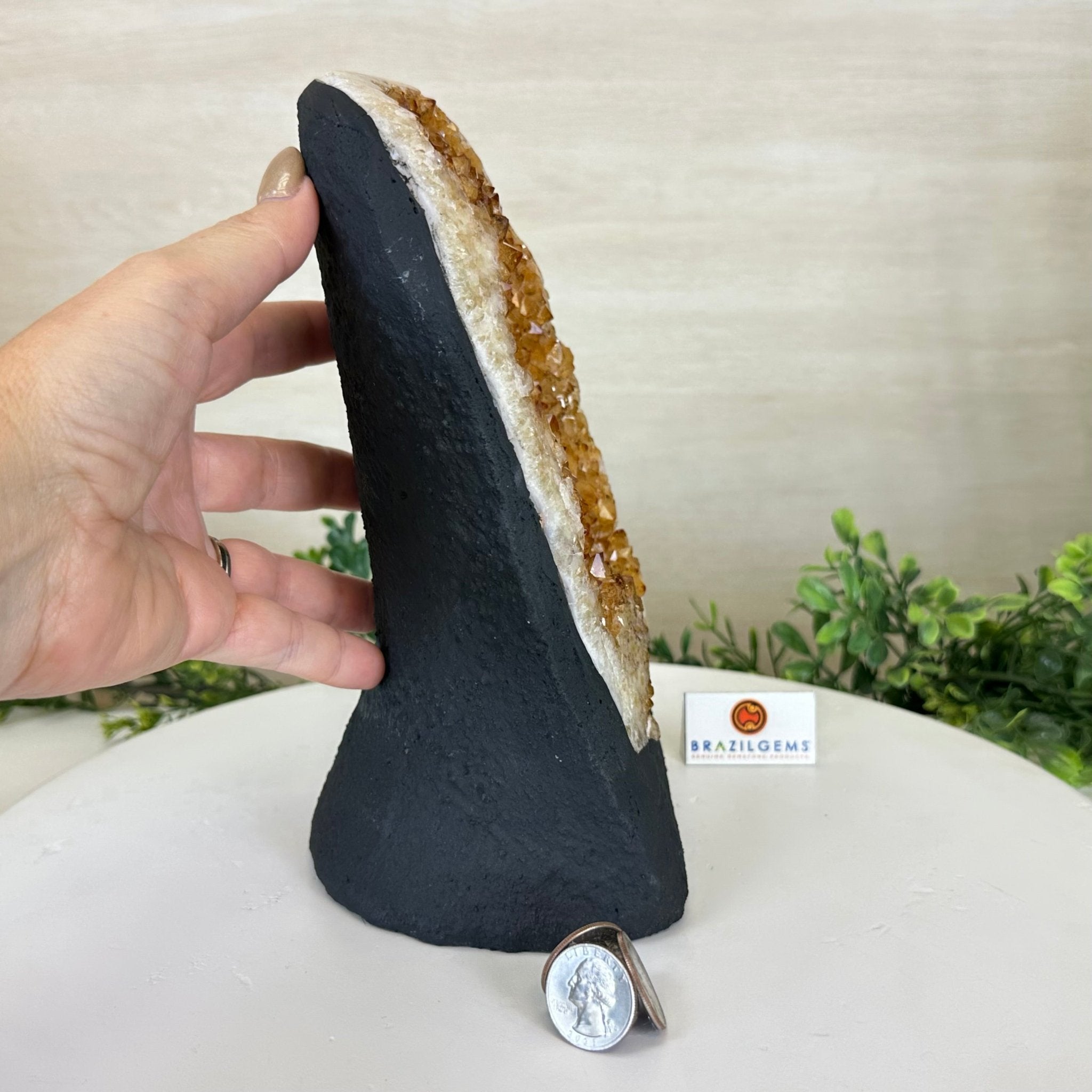 Extra Quality Citrine Cluster on Cement Base, 7.9 lbs and 9.2" Tall 5615 - 0058 - Brazil GemsBrazil GemsExtra Quality Citrine Cluster on Cement Base, 7.9 lbs and 9.2" Tall 5615 - 0058Clusters on Cement Bases5615 - 0058
