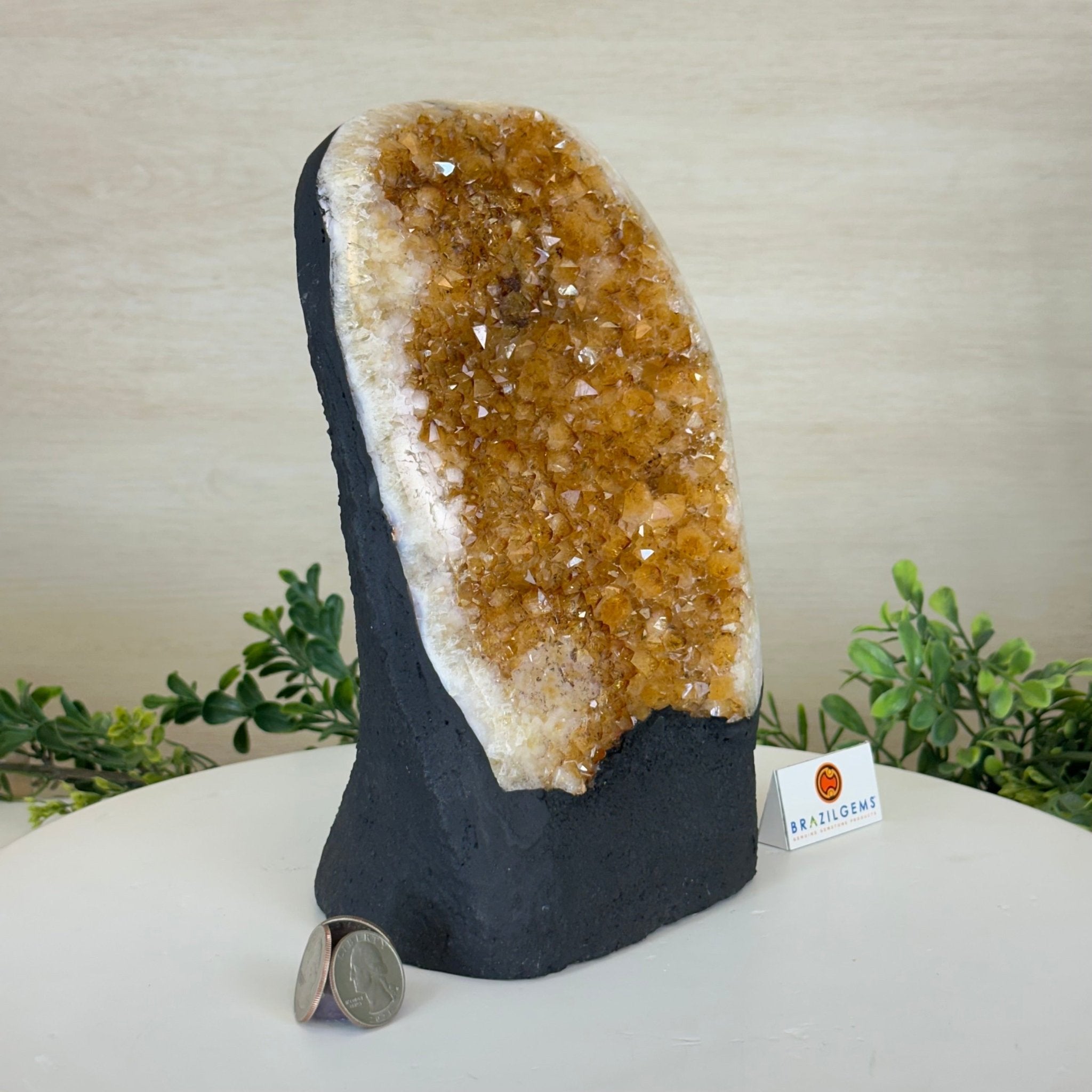 Extra Quality Citrine Cluster on Cement Base, 7.9 lbs and 9.2" Tall 5615 - 0058 - Brazil GemsBrazil GemsExtra Quality Citrine Cluster on Cement Base, 7.9 lbs and 9.2" Tall 5615 - 0058Clusters on Cement Bases5615 - 0058