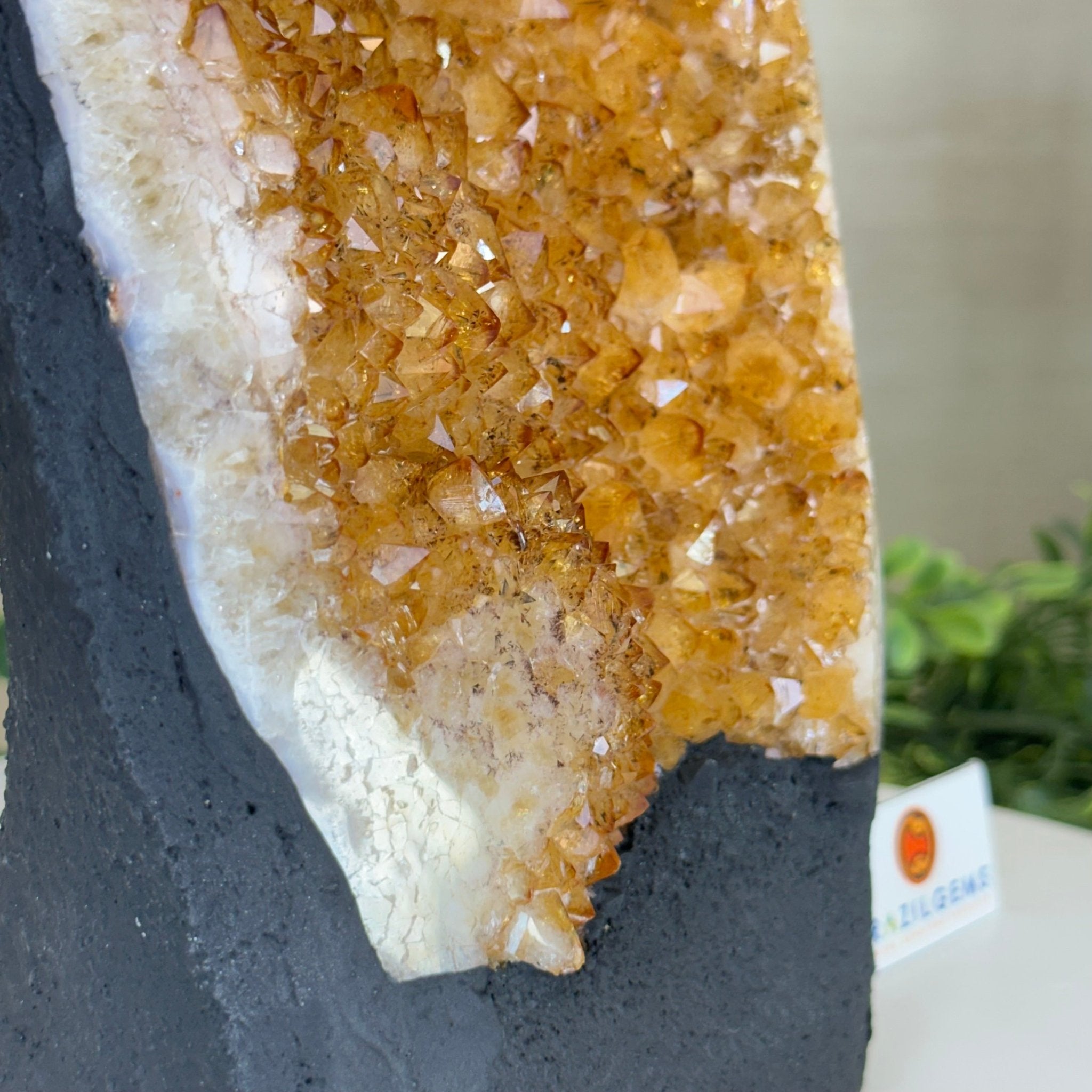 Extra Quality Citrine Cluster on Cement Base, 7.9 lbs and 9.2" Tall 5615 - 0058 - Brazil GemsBrazil GemsExtra Quality Citrine Cluster on Cement Base, 7.9 lbs and 9.2" Tall 5615 - 0058Clusters on Cement Bases5615 - 0058