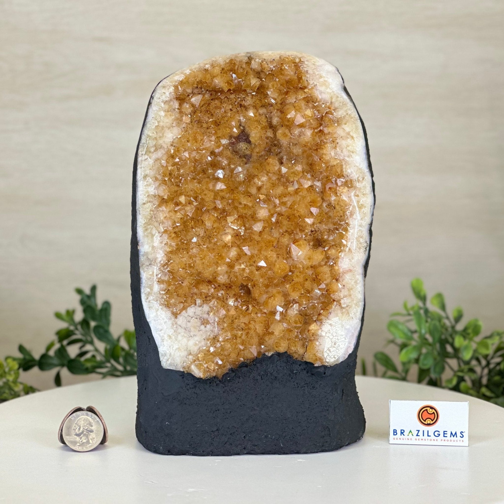Extra Quality Citrine Cluster on Cement Base, 7.9 lbs and 9.2" Tall 5615 - 0058 - Brazil GemsBrazil GemsExtra Quality Citrine Cluster on Cement Base, 7.9 lbs and 9.2" Tall 5615 - 0058Clusters on Cement Bases5615 - 0058
